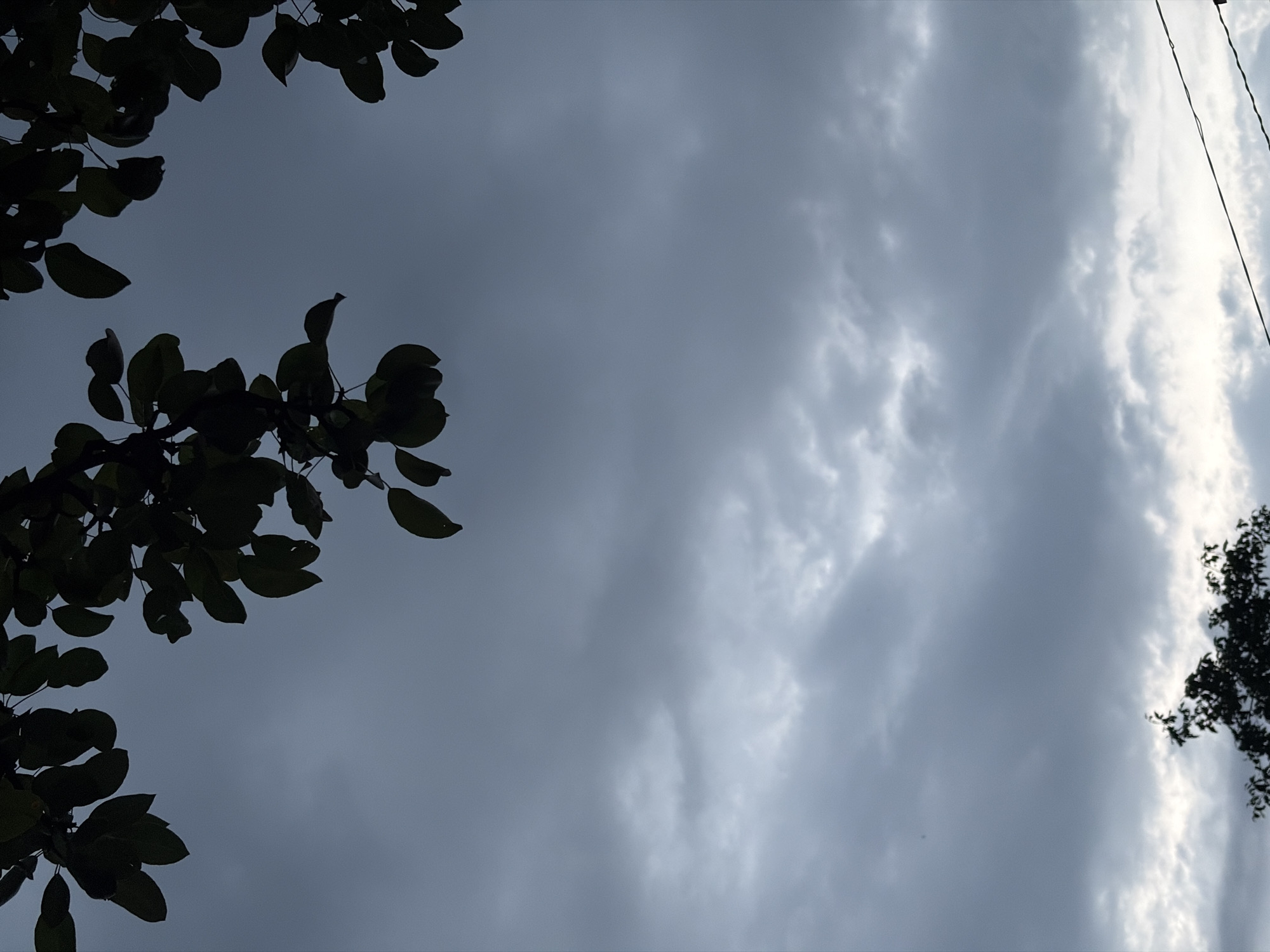 Summer afternoon in a Chernihiv garden, indoors and out