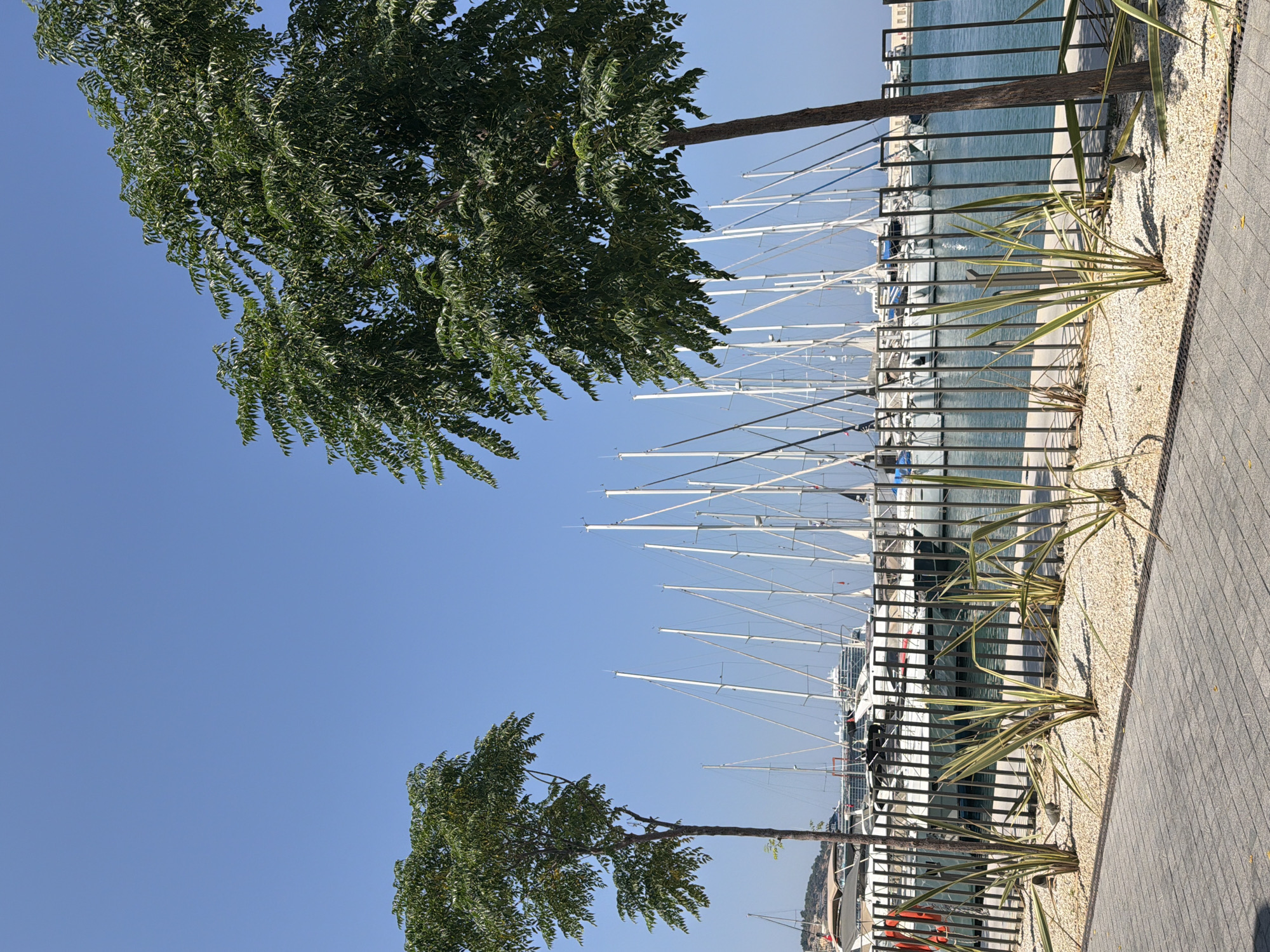 Kuşadası marina on a clear summer morning