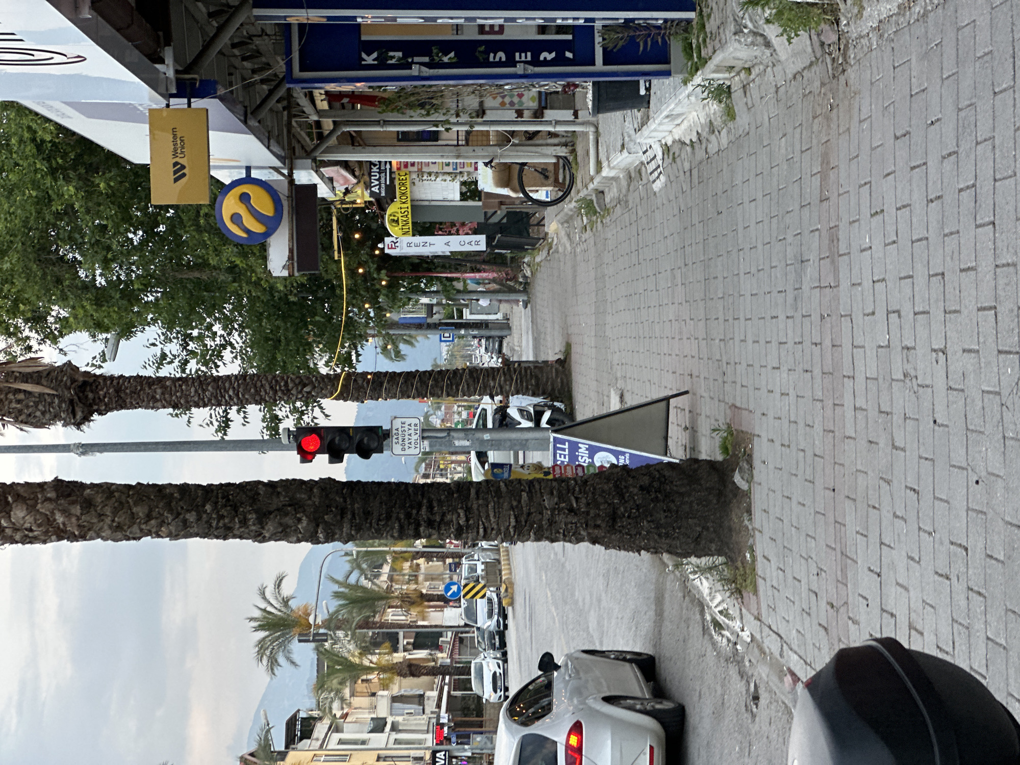 Afternoon stroll documented on palm-lined street in Fethiye, Turkey