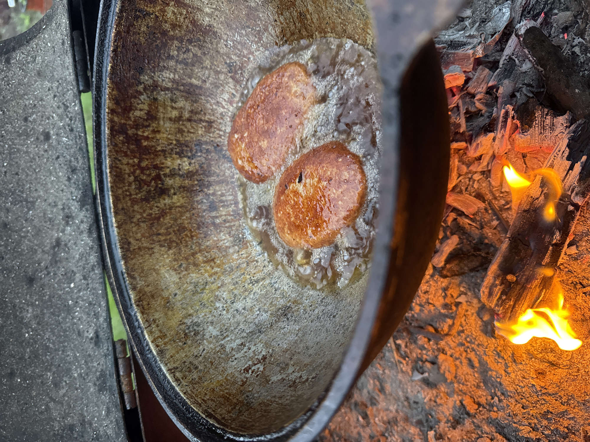 Backyard gathering with cooking and family time in Chaikovsky