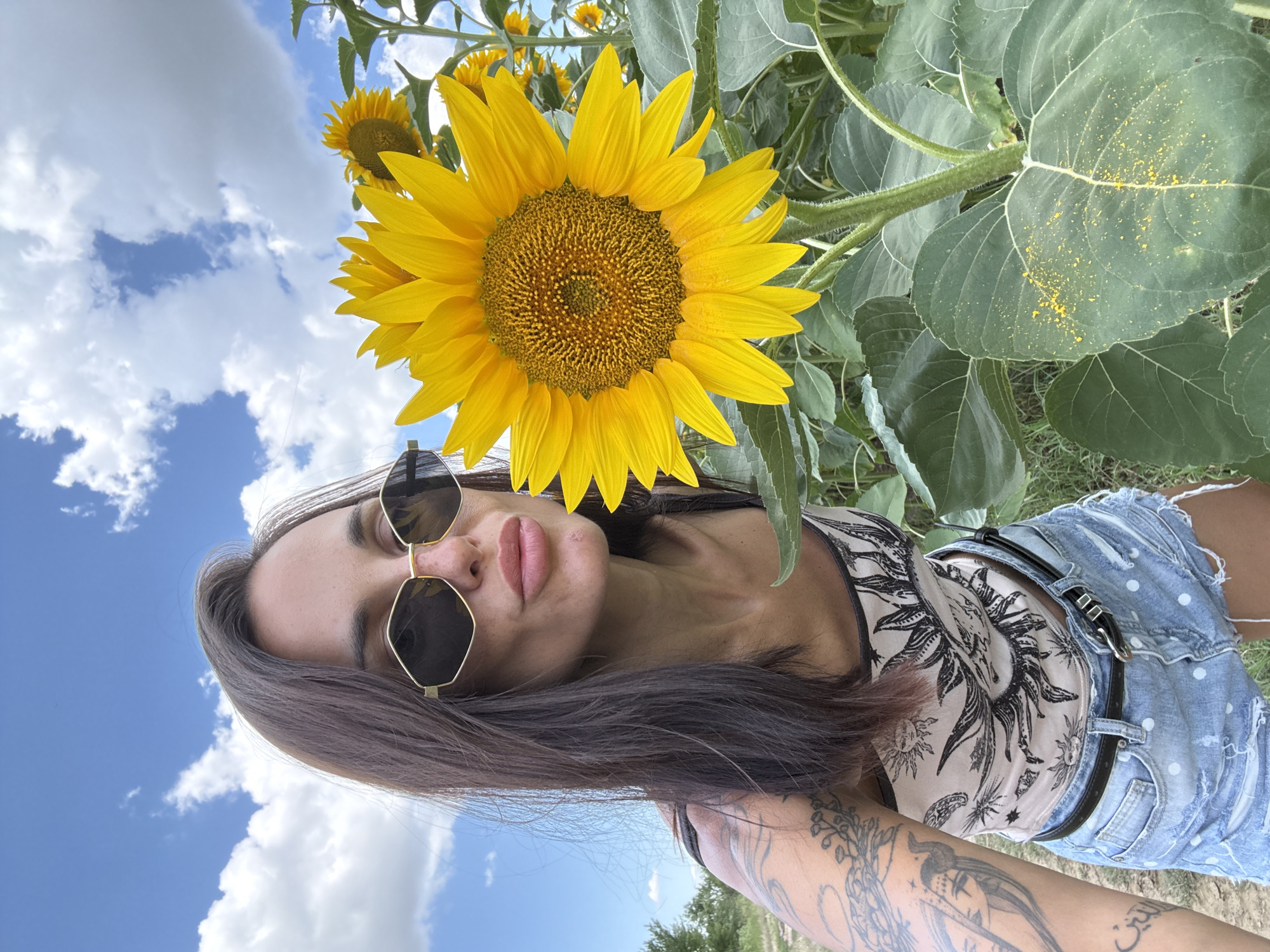 Selfies in a blooming sunflower field, Grivitsa, Bulgaria