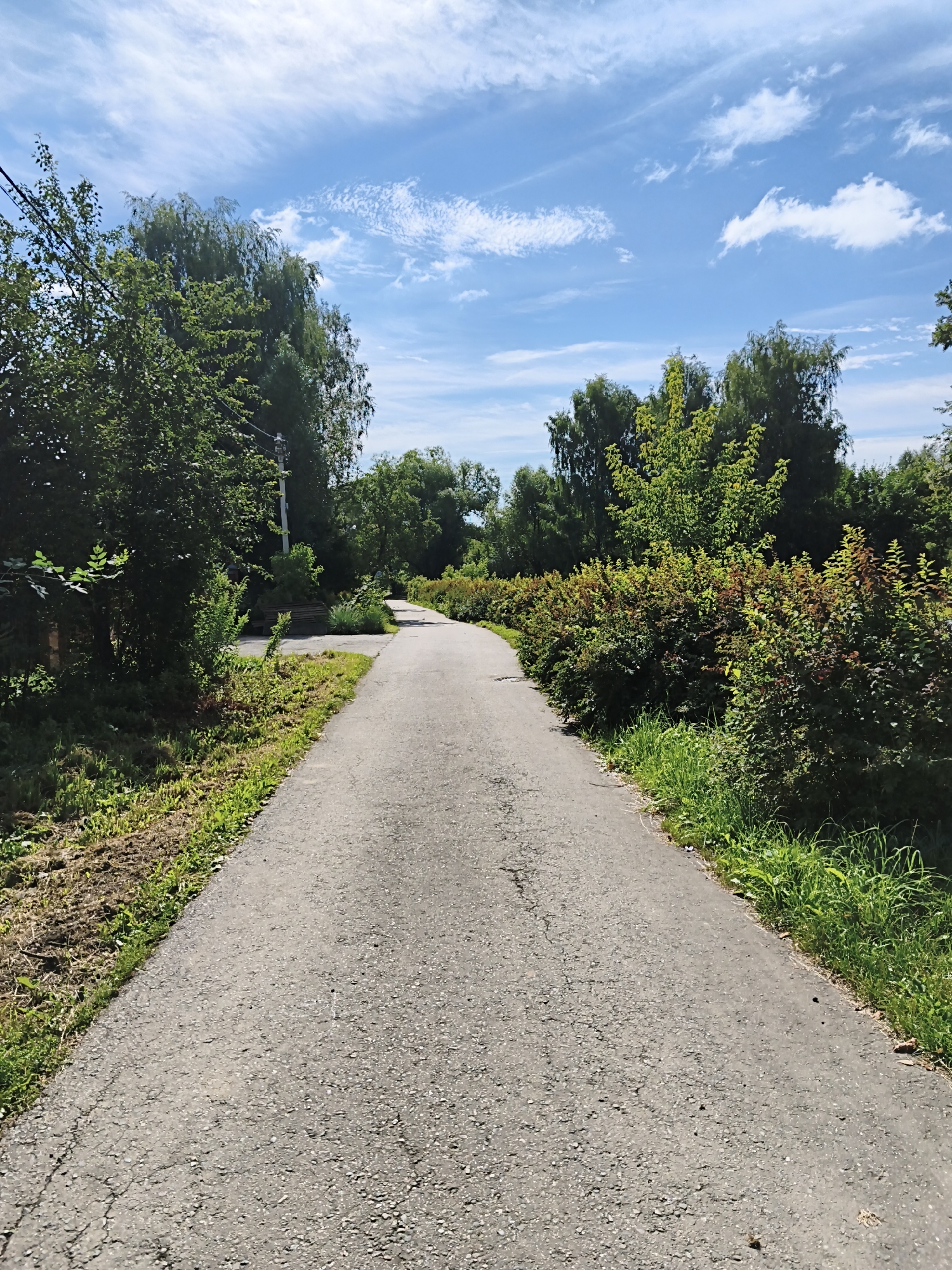 Paths, trees, and a railway track in Dolgoprudny