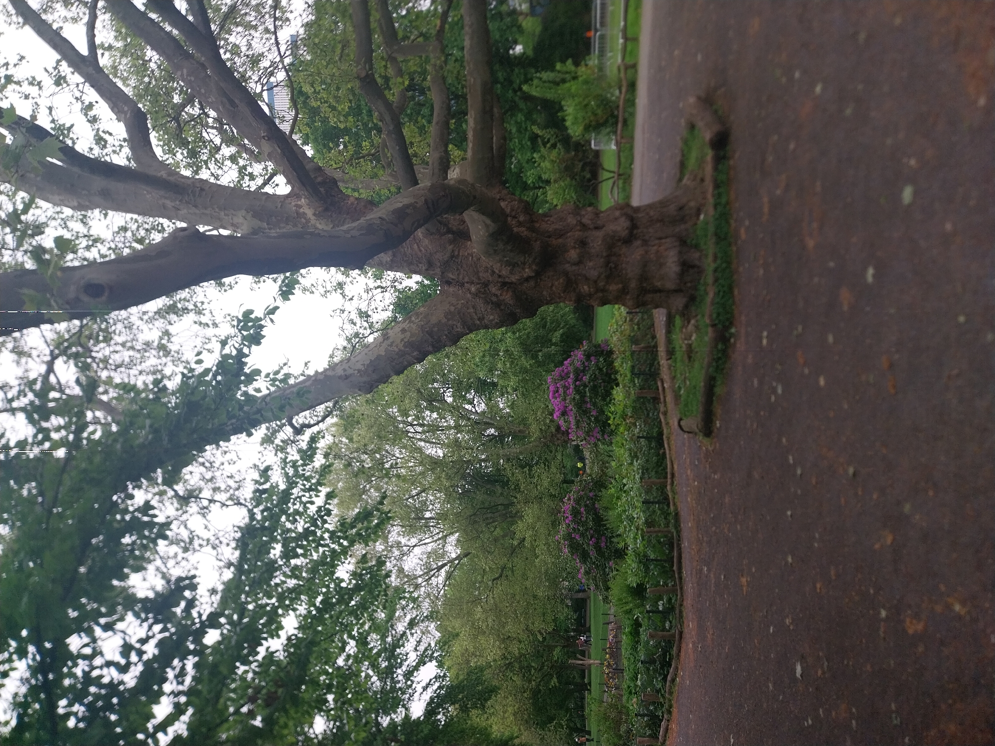 Spring morning walk documented through Berlin park over 77 minutes