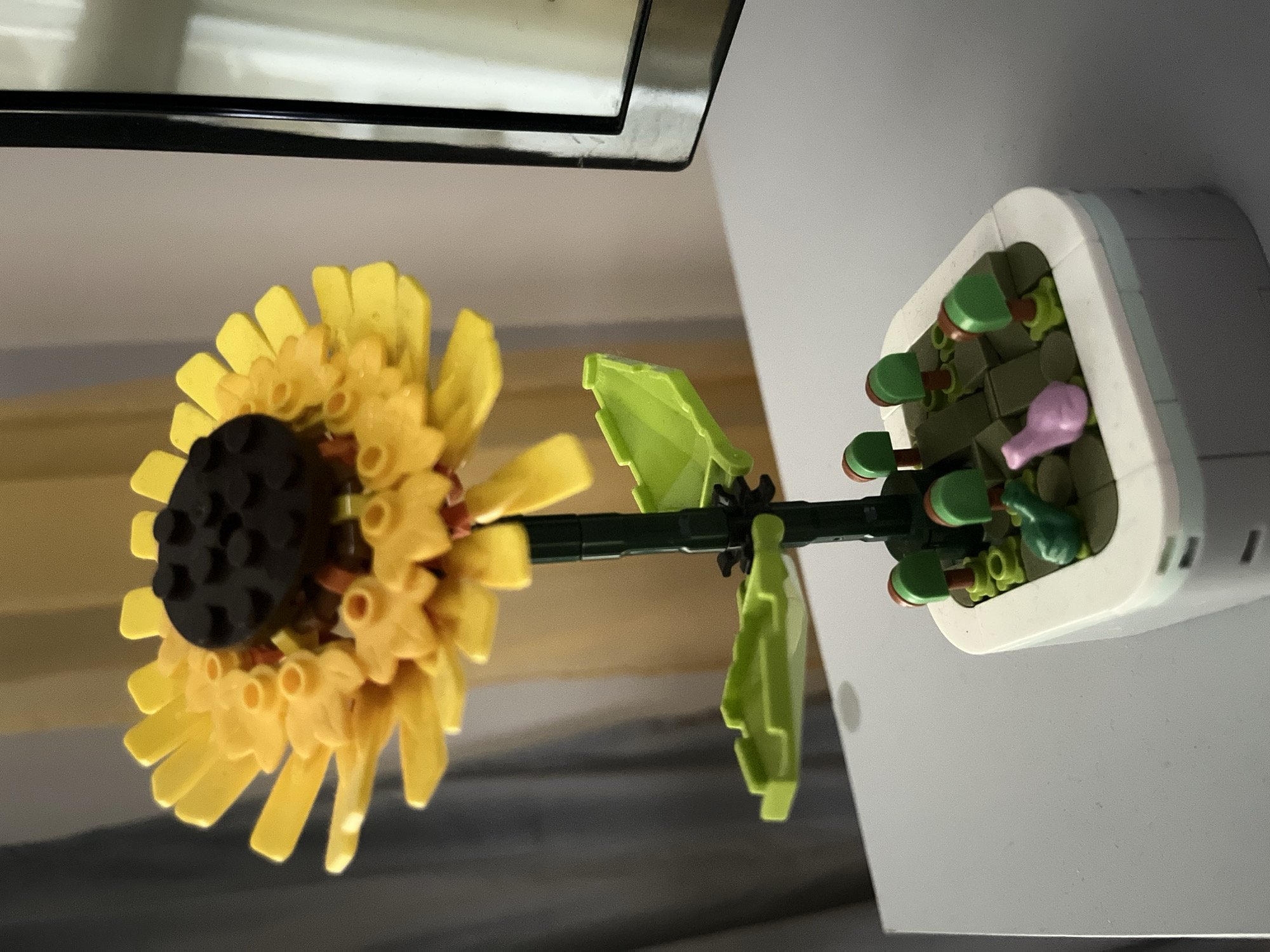 Handmade decor and indoor objects in Varna
