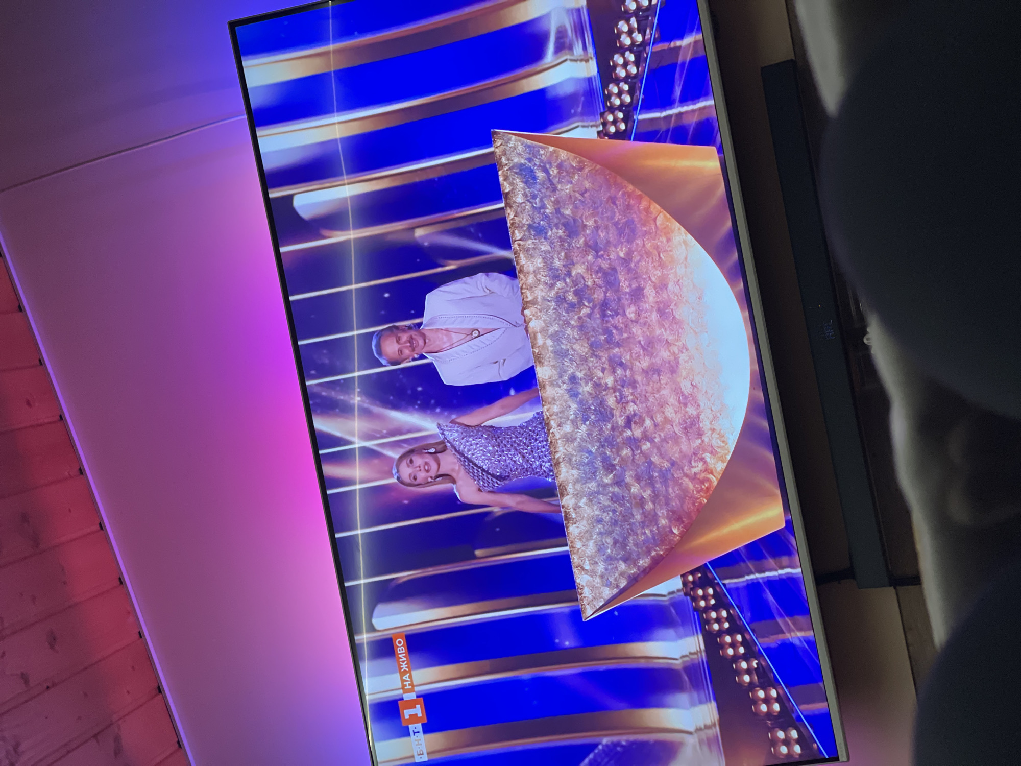 Woman watches Eurovision with poodle, takes selfies in Sofia