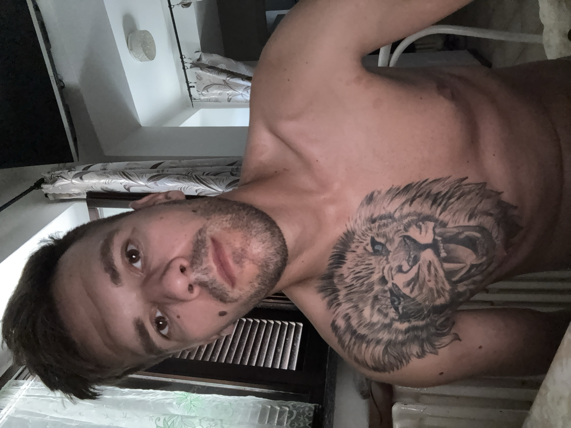 Lazy afternoon at home in Sesto Calende, lion tattoo front and center