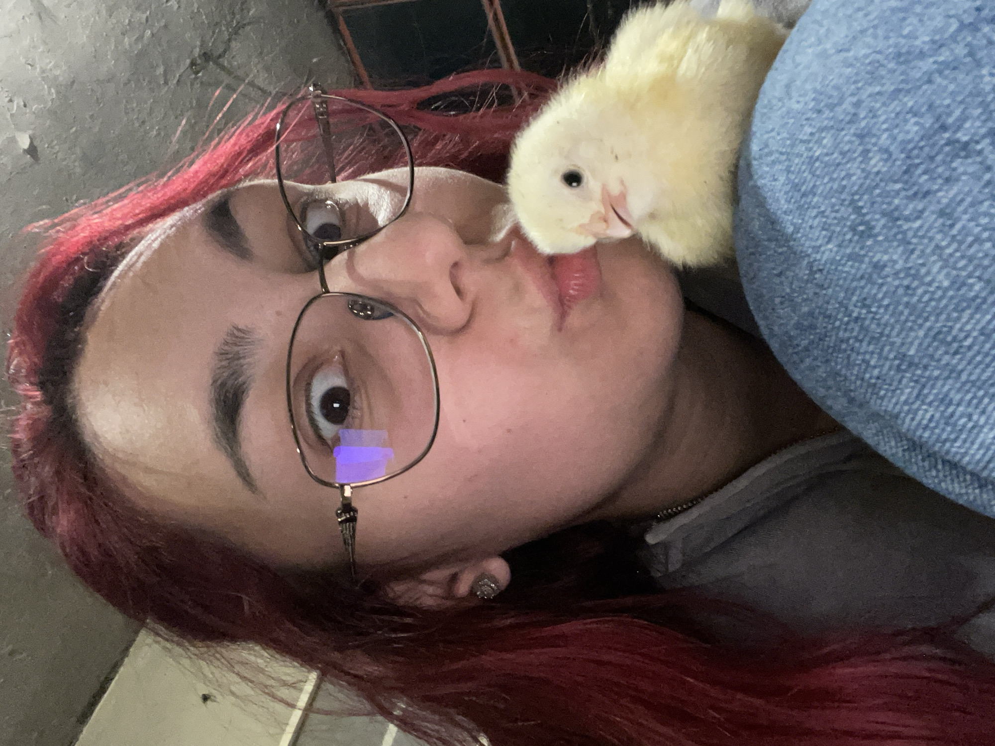 Tender moments with baby chicks captured in Bulgarian village