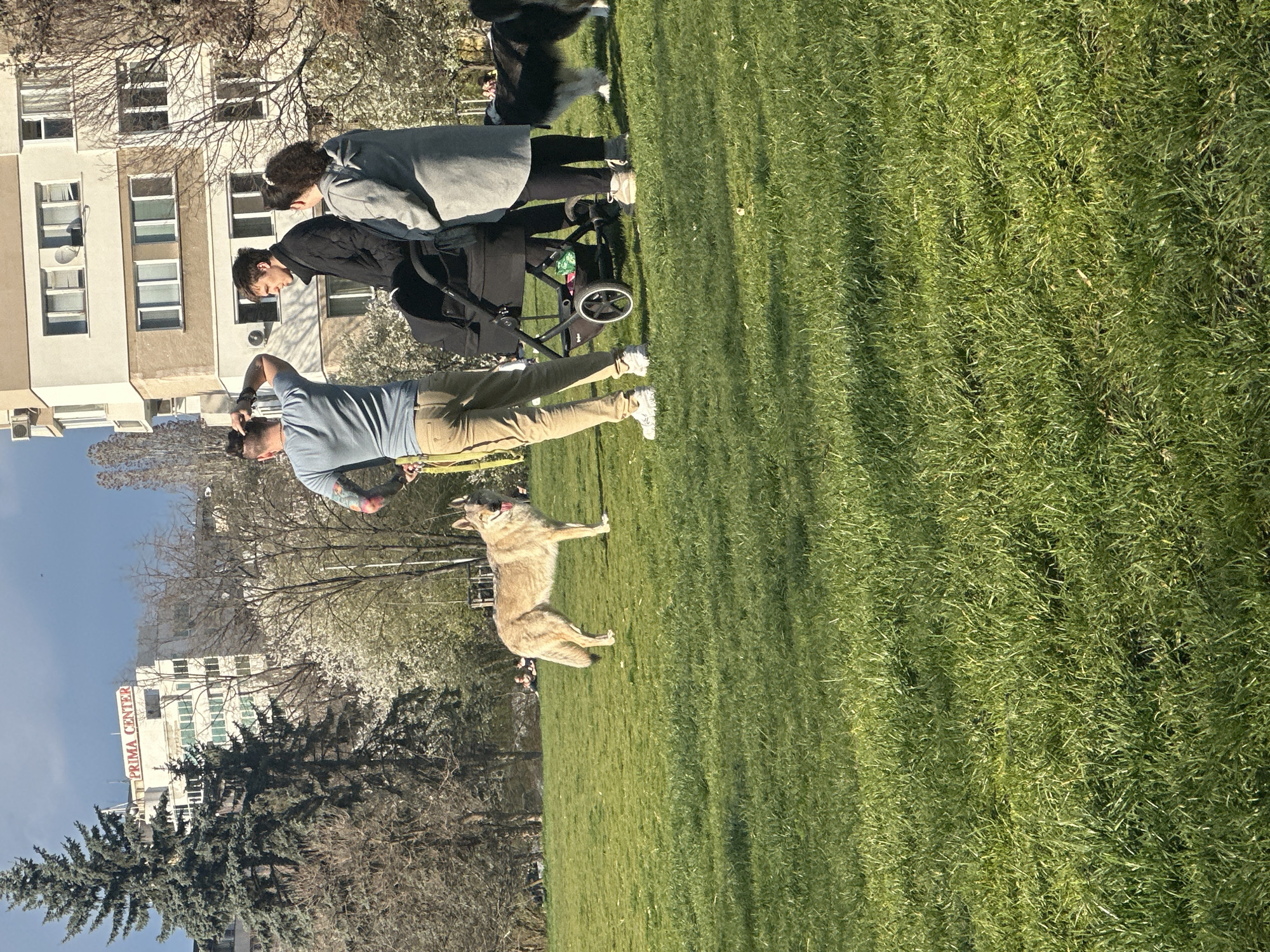 Man stands in Sofia park near Prima Center building