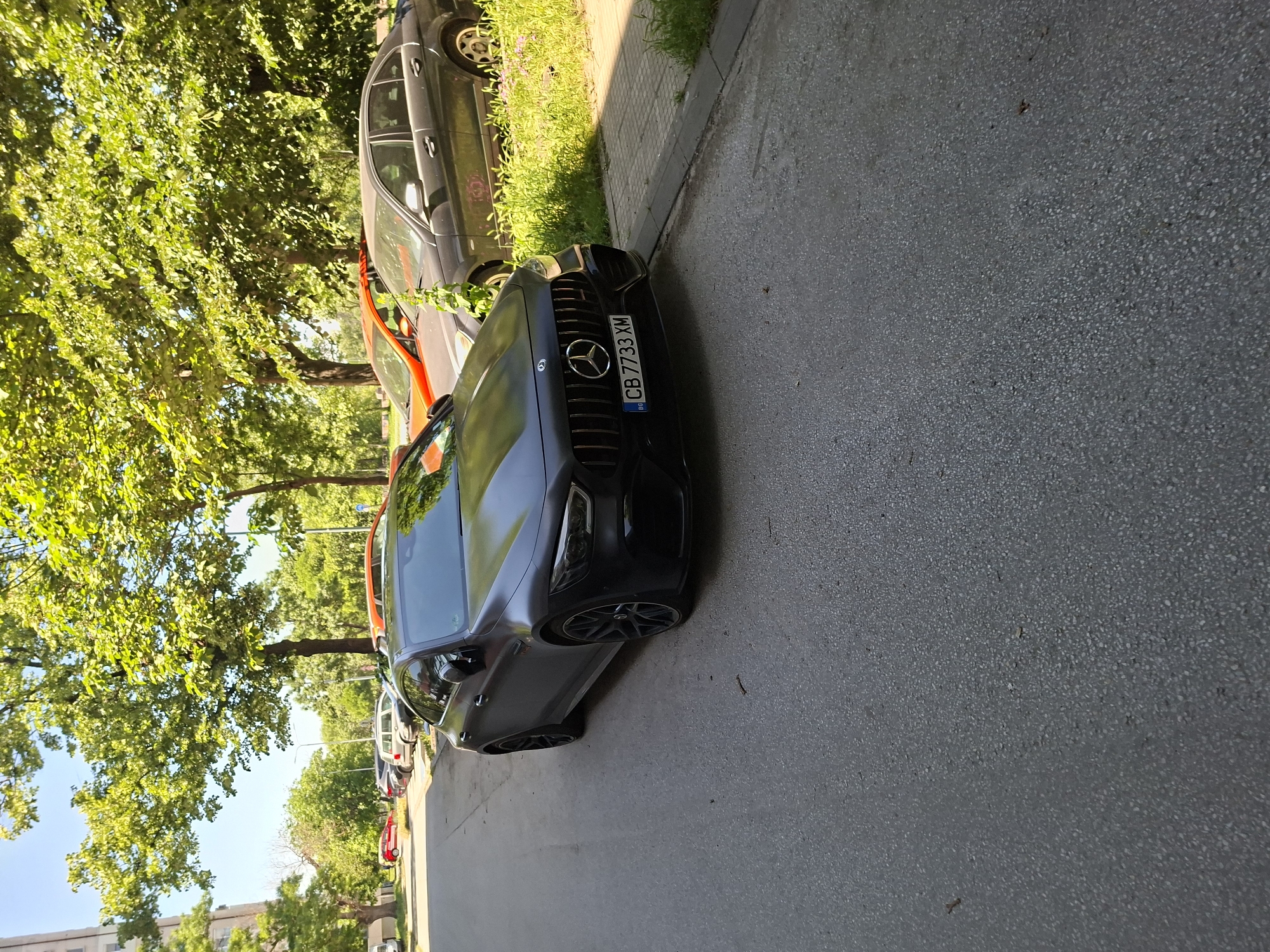 Cat on ladder, parked Mercedes observed in Plovdiv