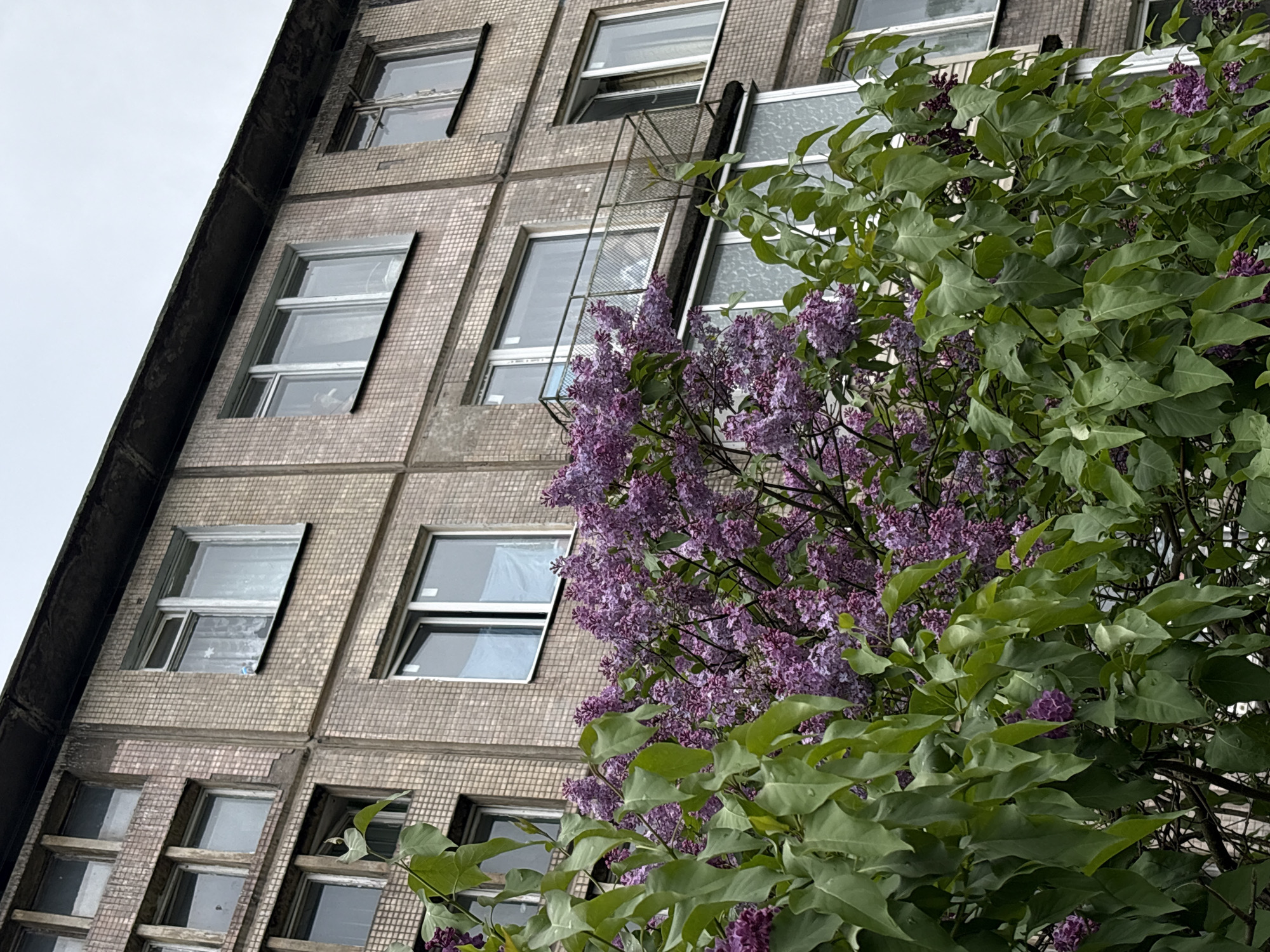 Quiet Friday afternoon moments captured across Saint Petersburg neighborhoods