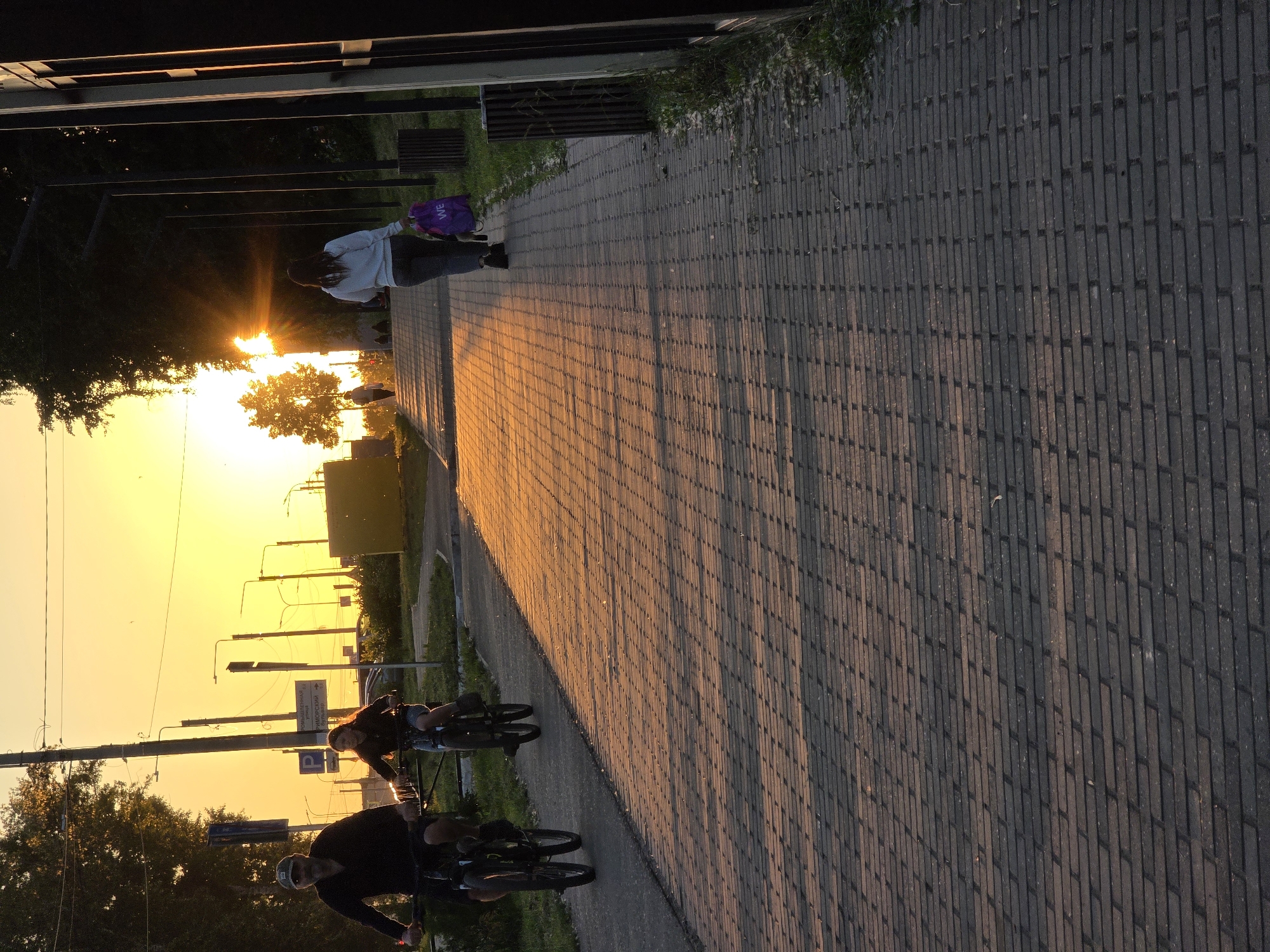 Golden hour documentation session captures sunset and cat portraits