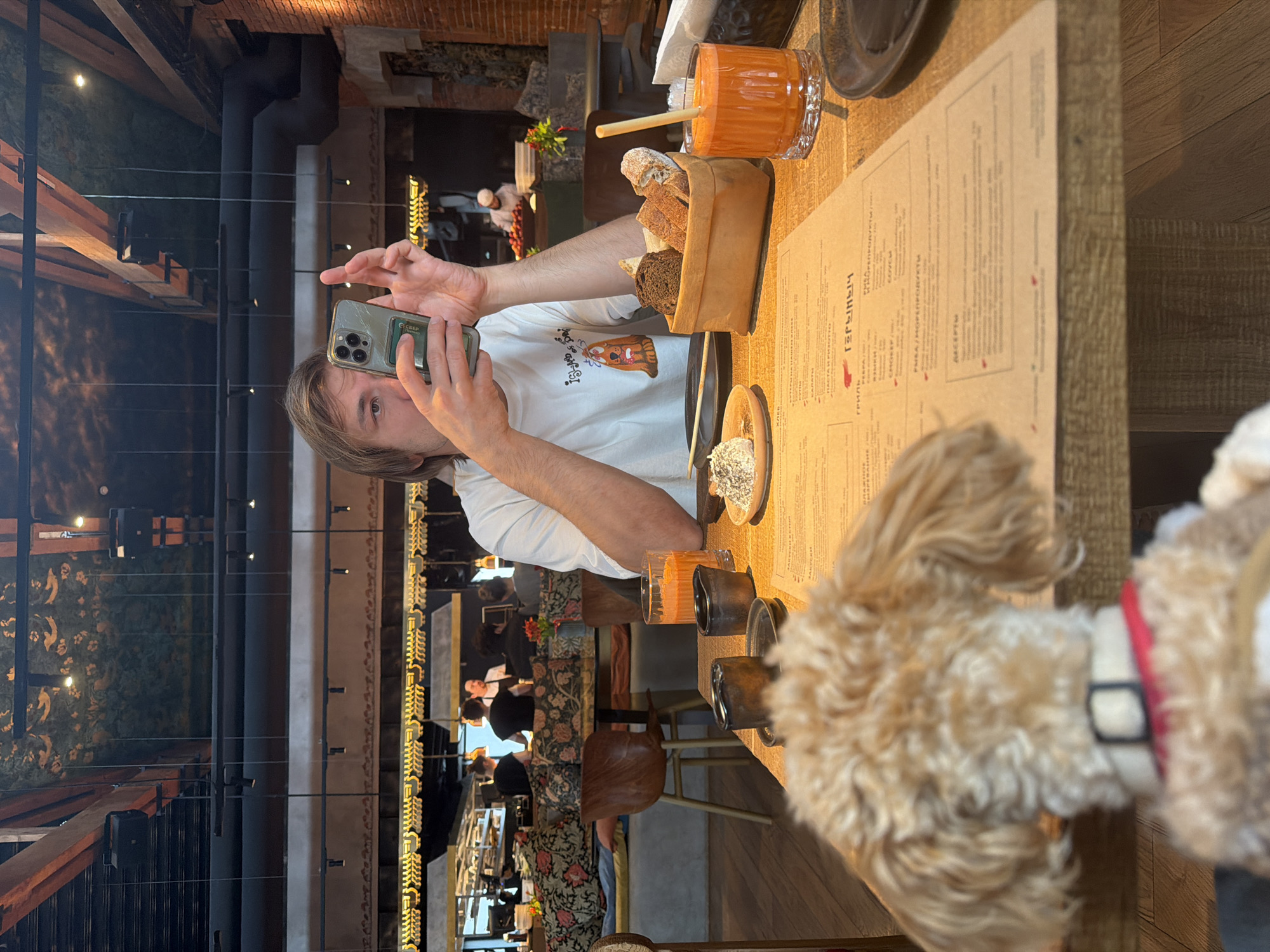 Man photographs with dog at Moscow restaurant table