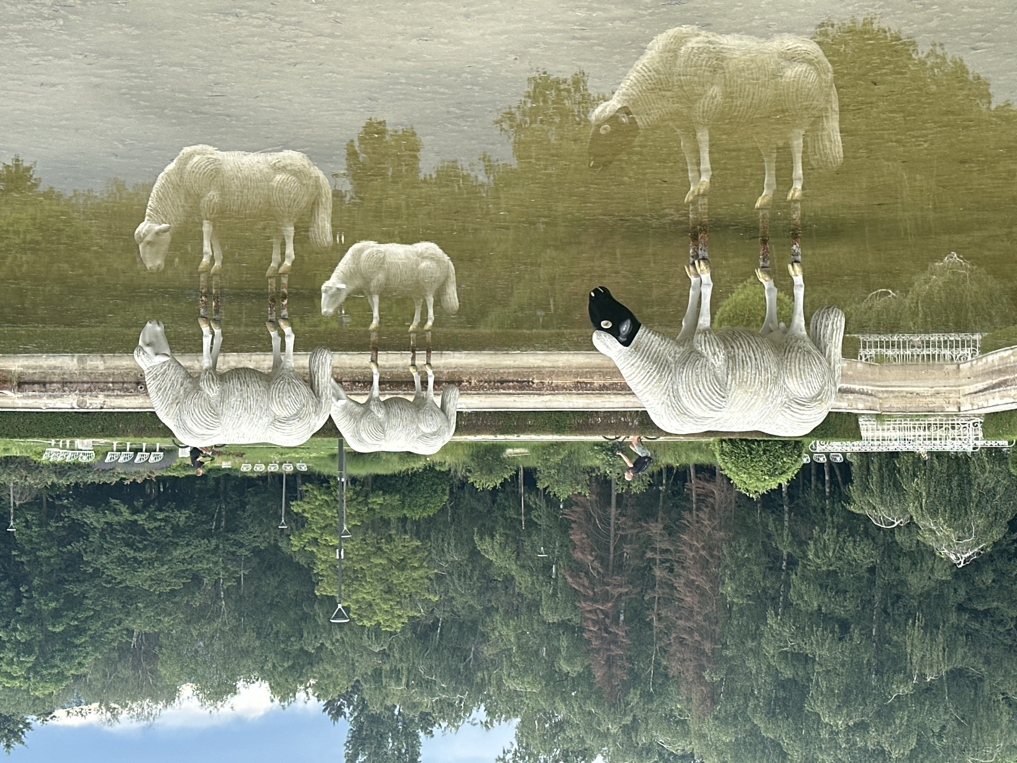 Animal sculptures and park life documented in Sofia's Borisova Gradina
