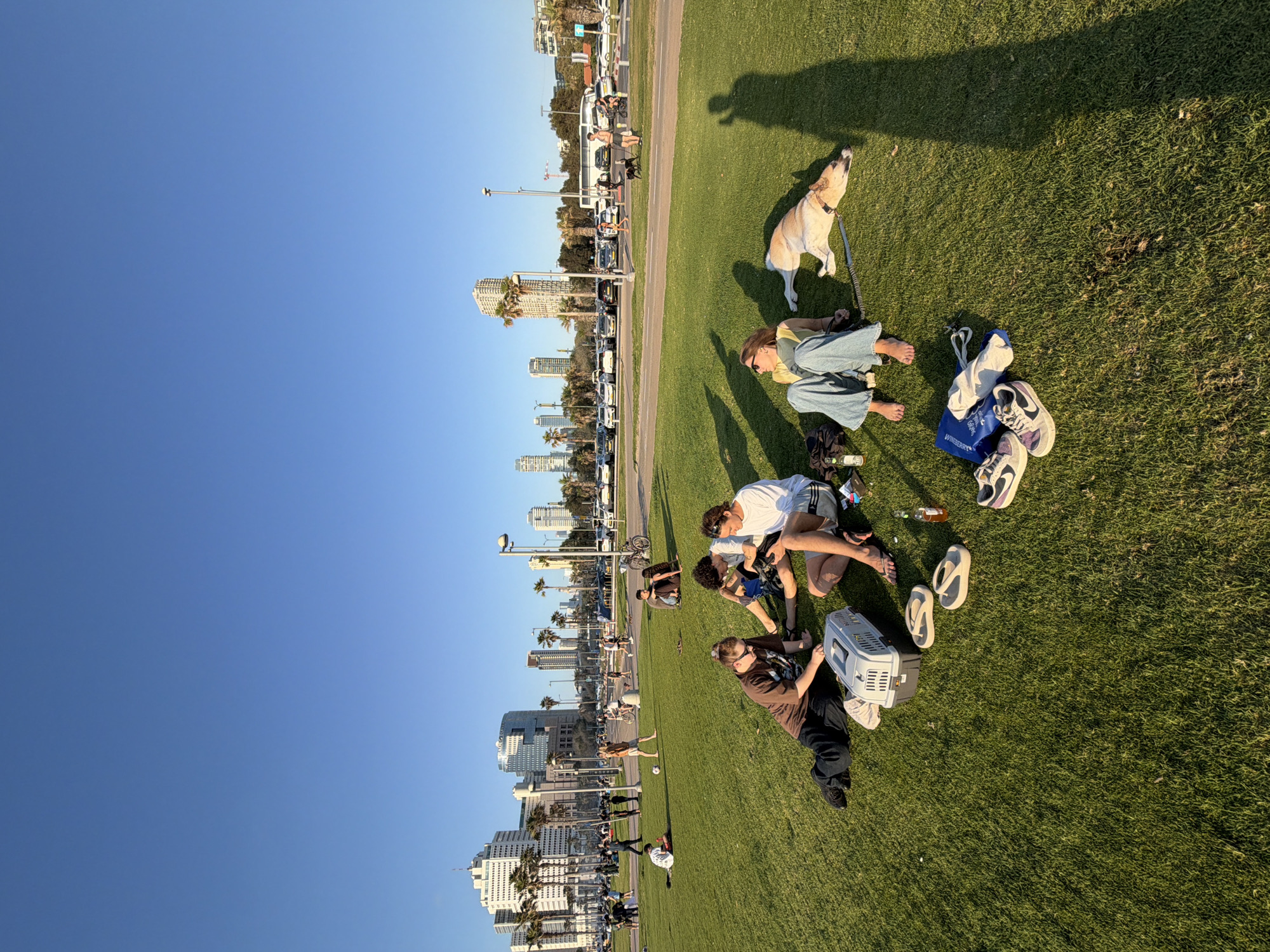 Afternoon leisure gathering observed on Tel Aviv waterfront grass