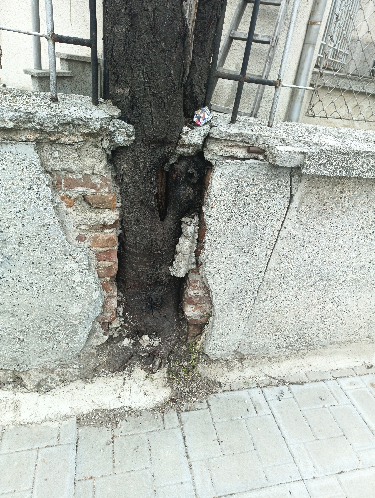 Urban decay and nature reclamation documented in Karnobat