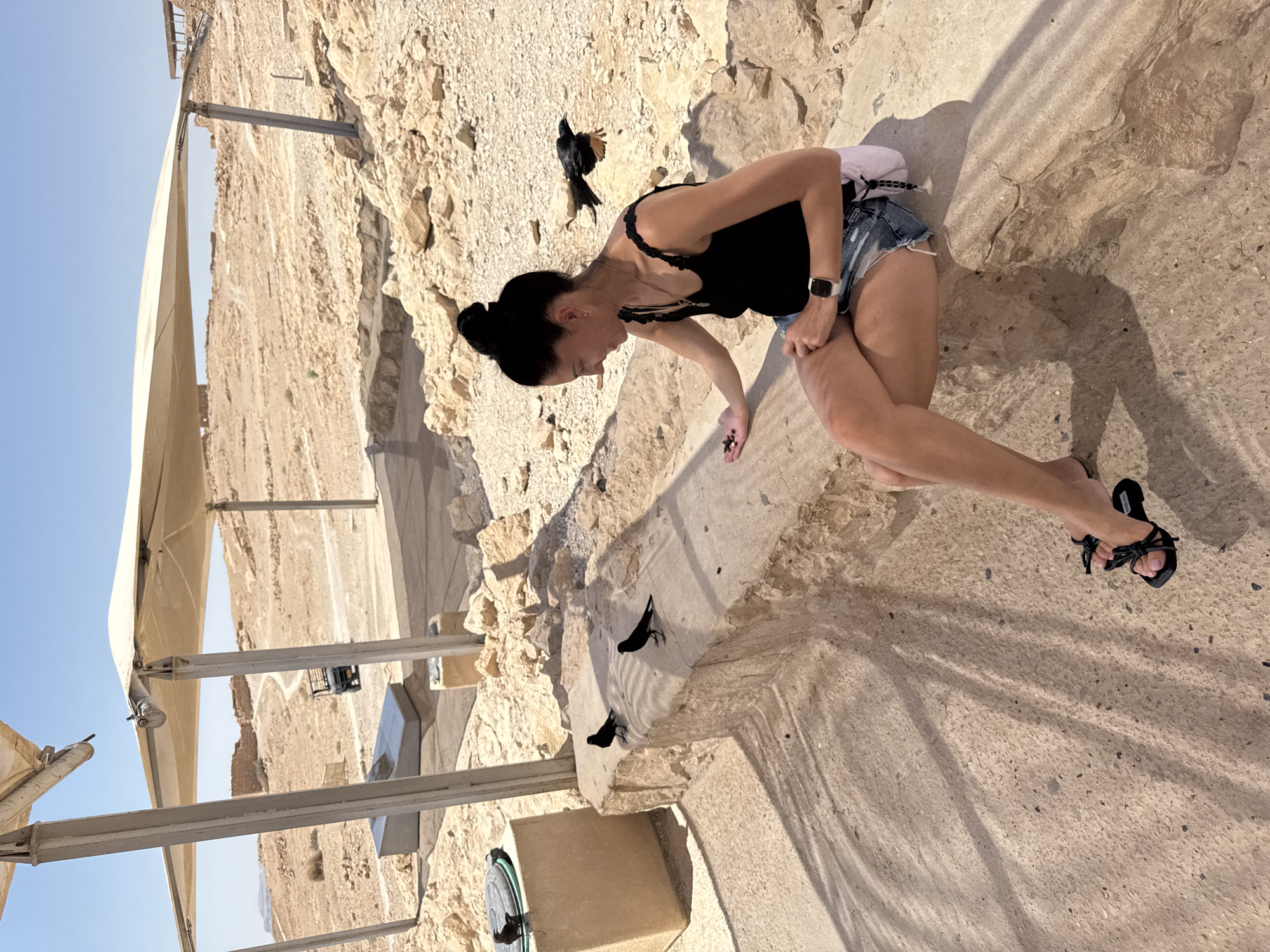 Morning at Masada: ruins, Dead Sea views, and hand-feeding birds