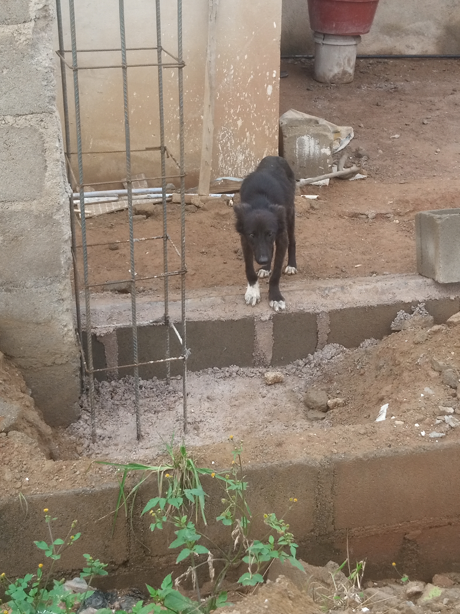Morning street life and fieldwork in Katon Rikkos, Nigeria