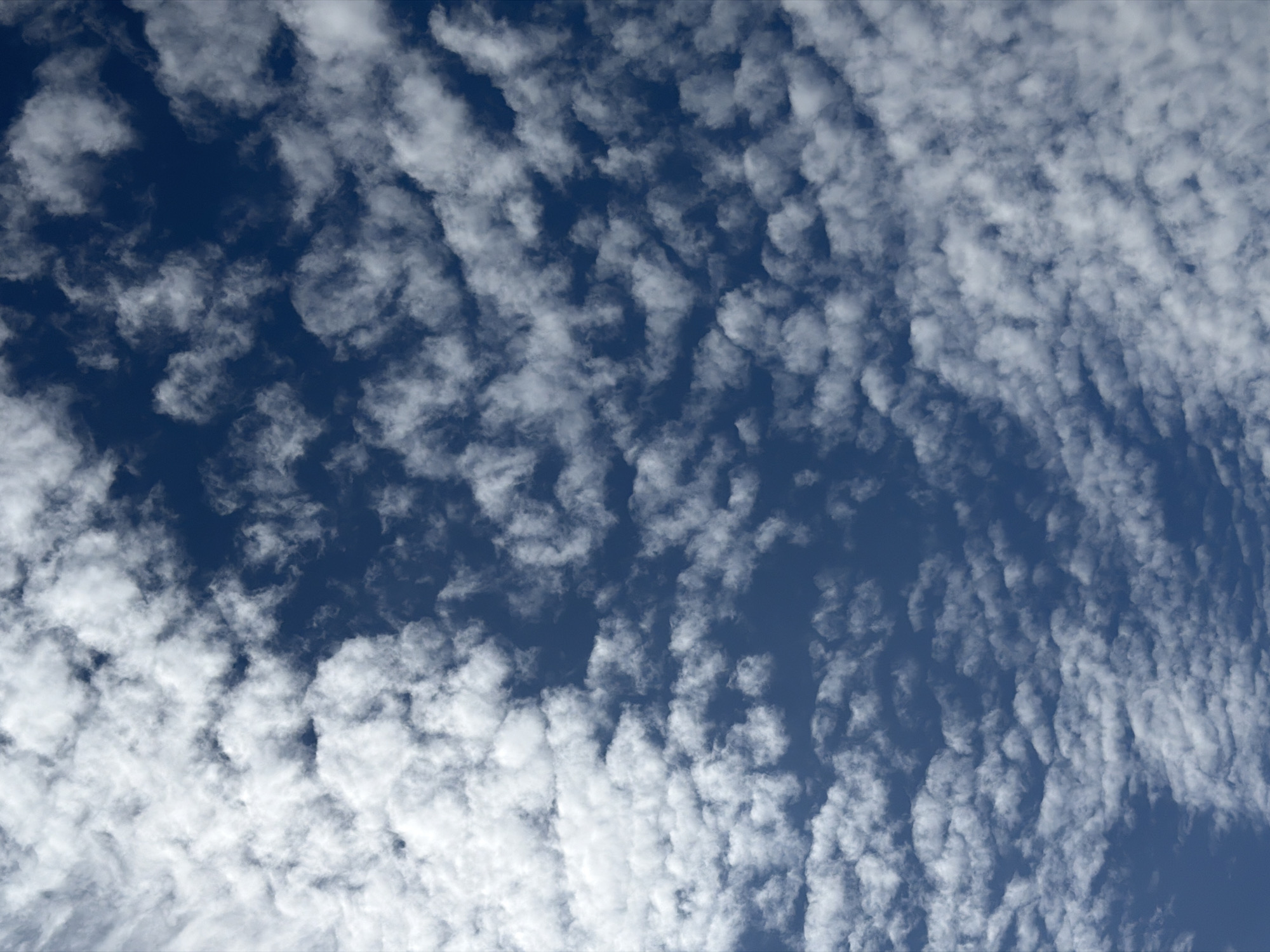 Cumulus clouds spotted over Luxembourg skies