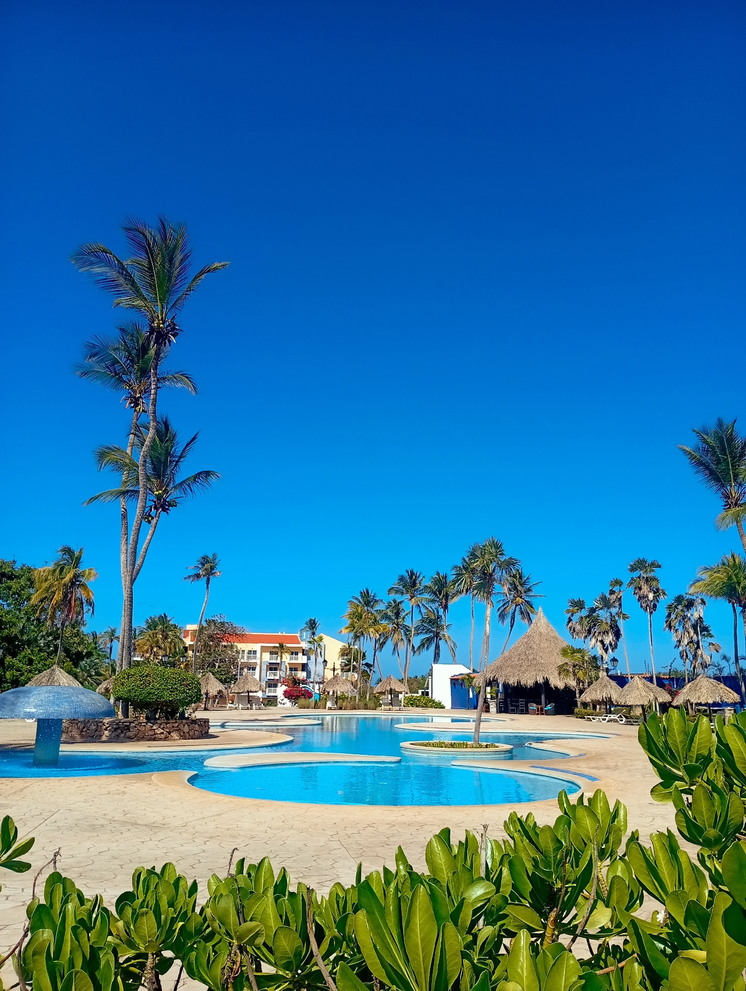 Sunny resort day documented at Playa El Agua Venezuela