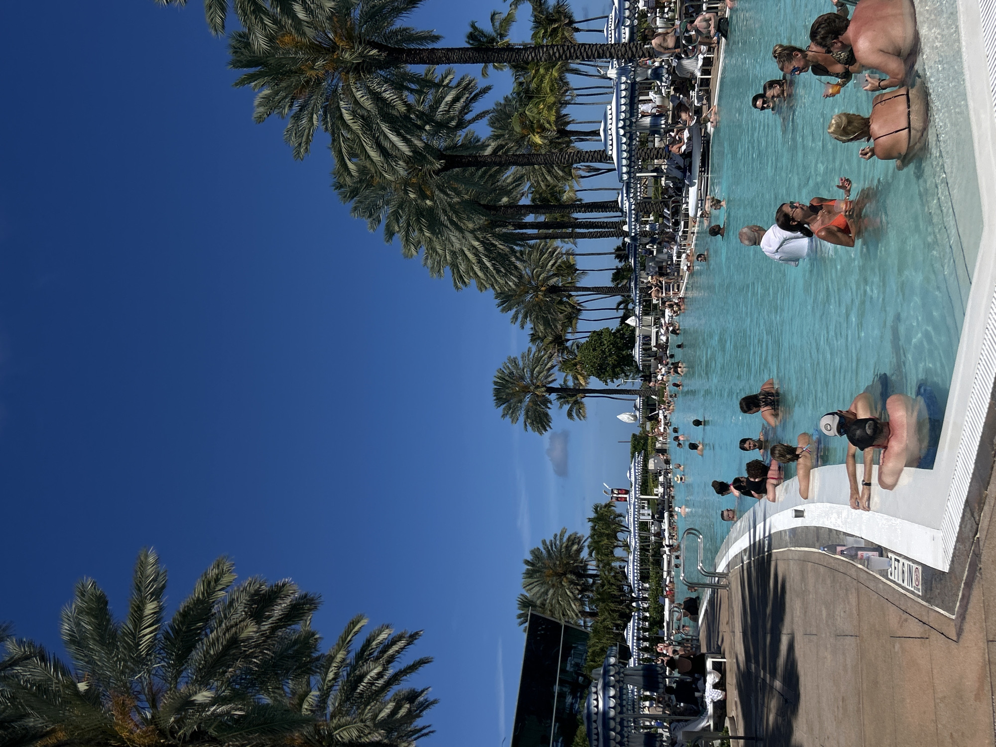 Busy pool scene observed in Miami Beach