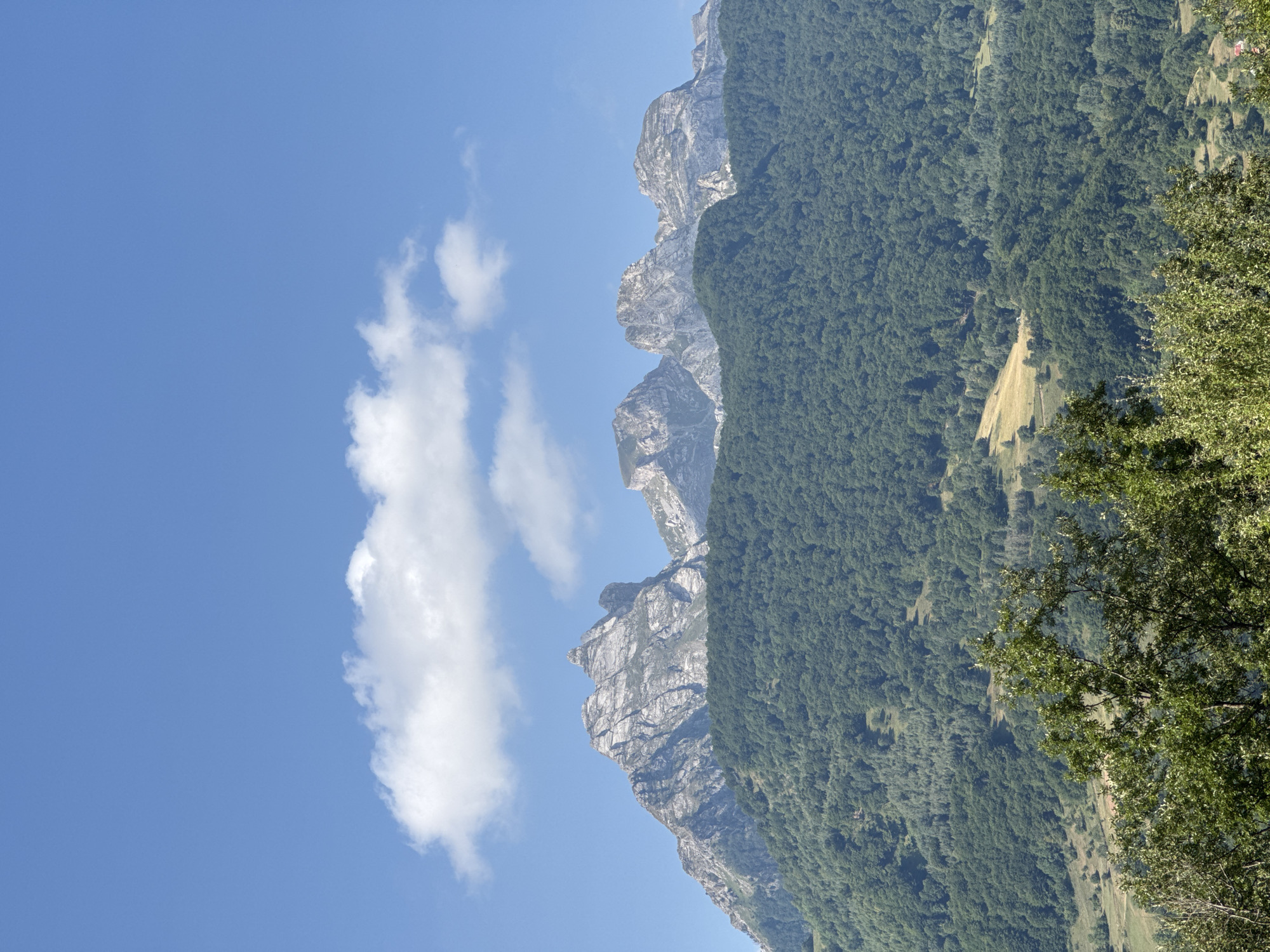 Mountain road and wildflowers in rural Montenegro