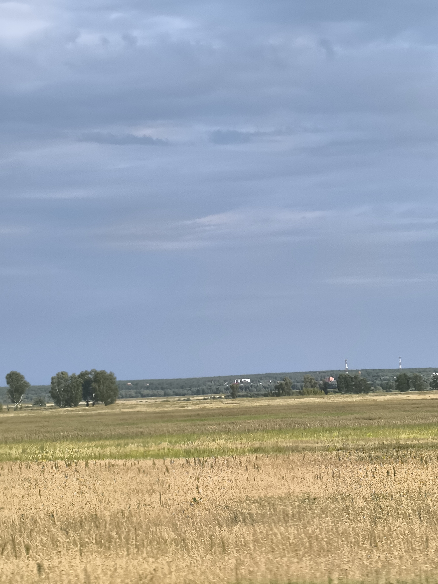 Rolling through golden grain fields under dramatic skies