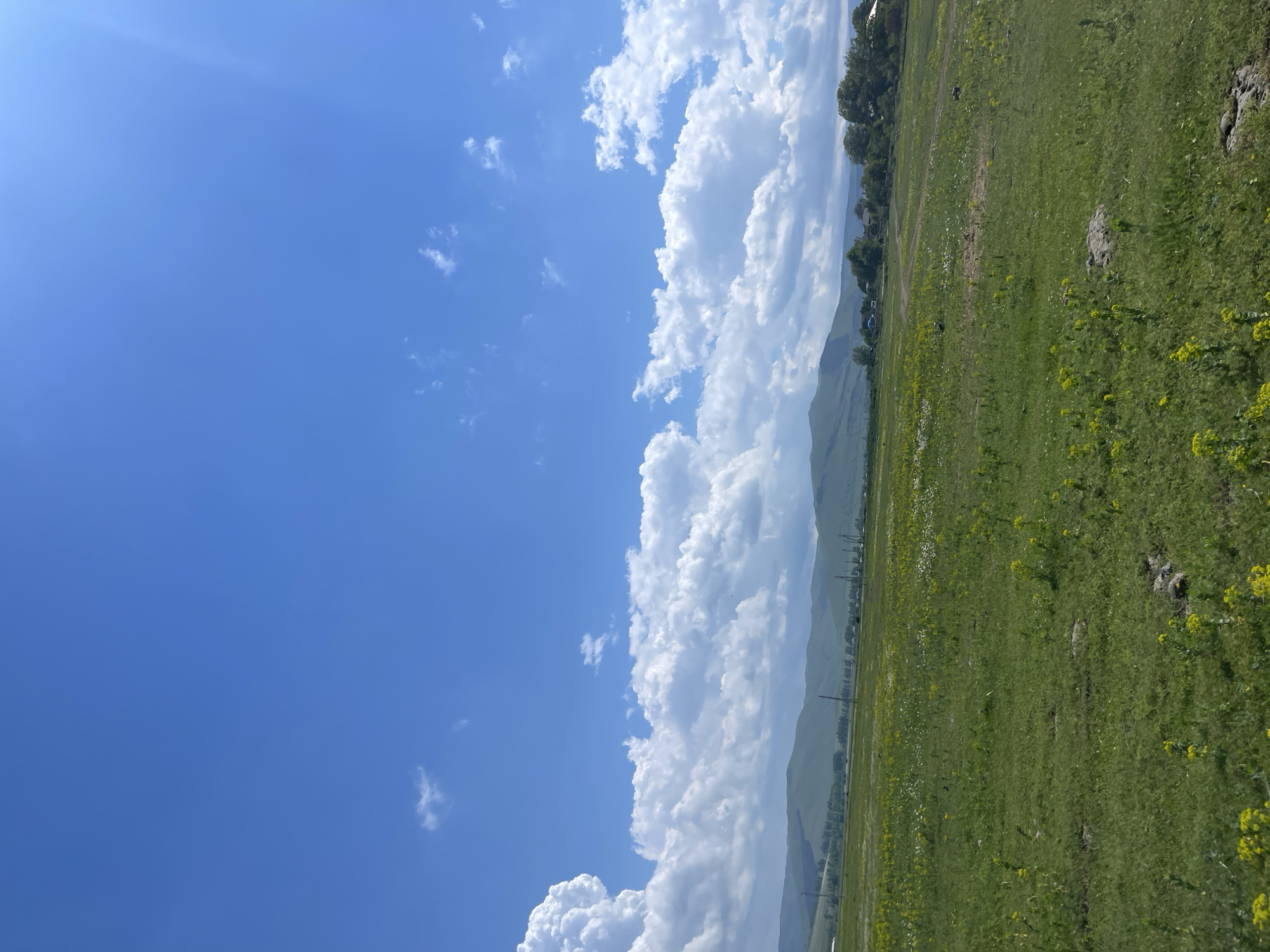 Peaceful summer day documented across rural Dmanisi, Georgia countryside