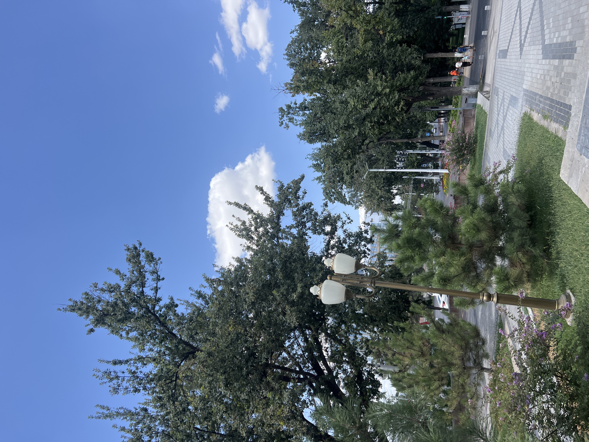 Tashkent streets, parks, a curious kitten, and morning details