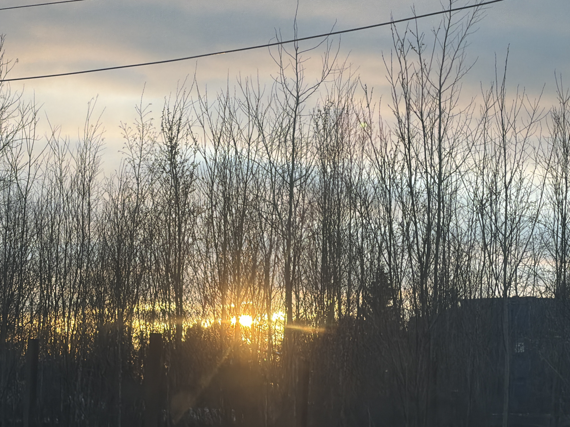 Sunset observed through trees and car windshield in Nizhnevartovsk