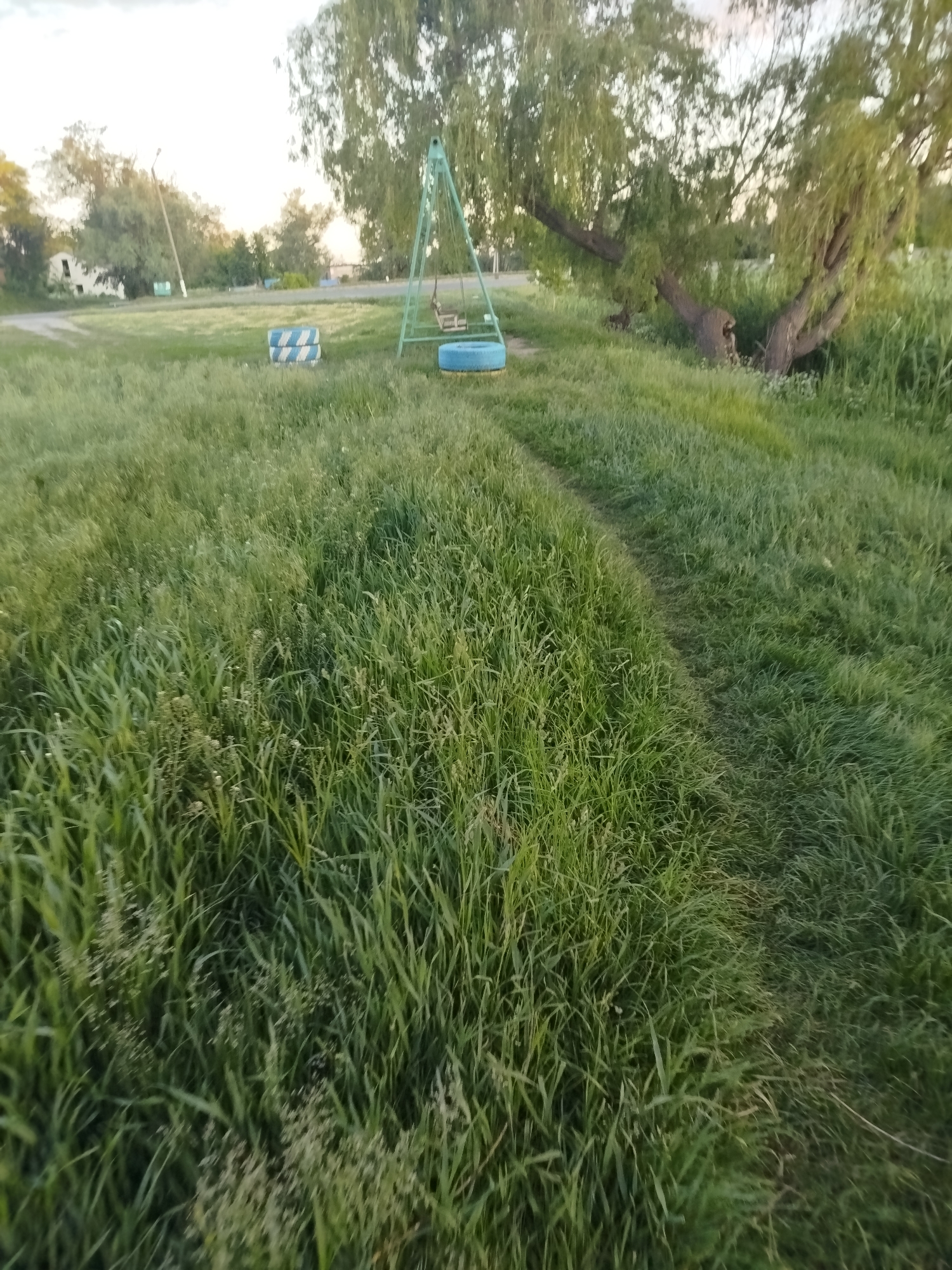 Rural landscapes documented during golden hour on June 1st