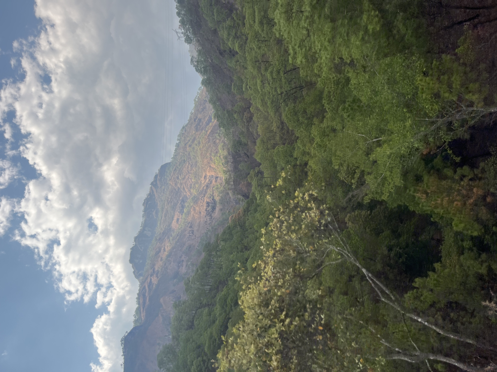Mountain landscape with dense forest observed near Ocotito, Mexico