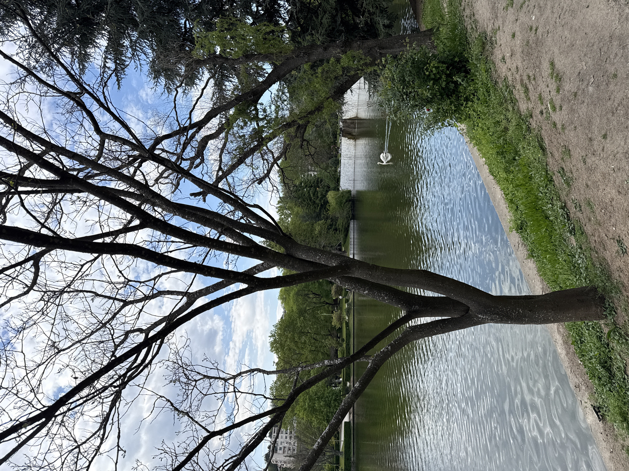Spring foliage emerging in Sandanski park scene documented