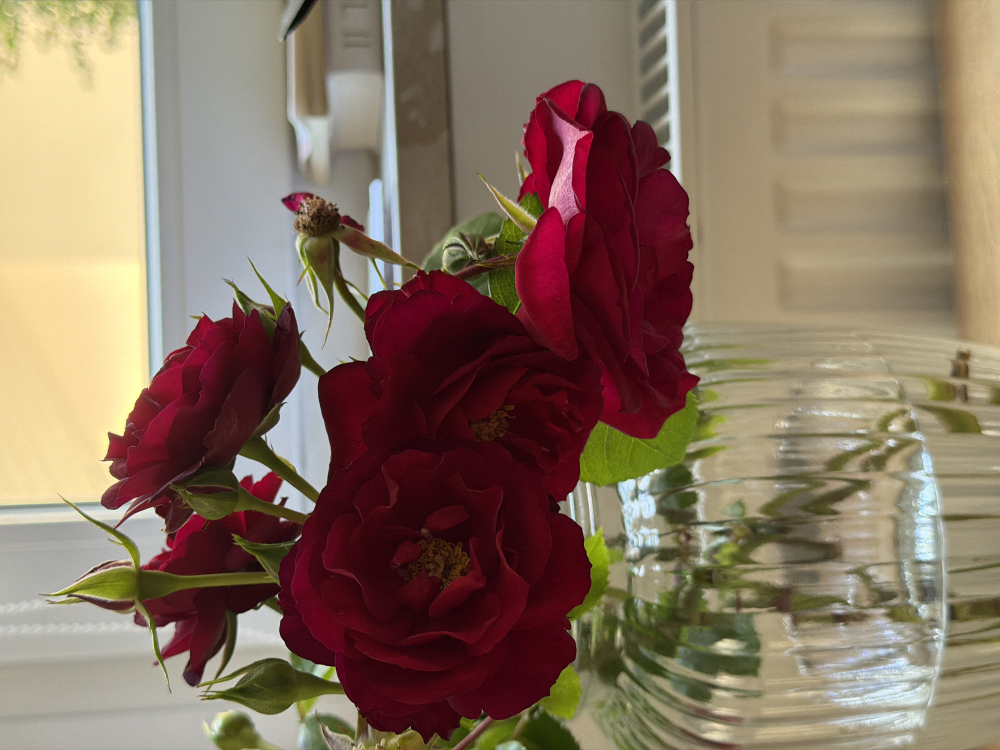 A quiet morning at home in Korbach, inside and out