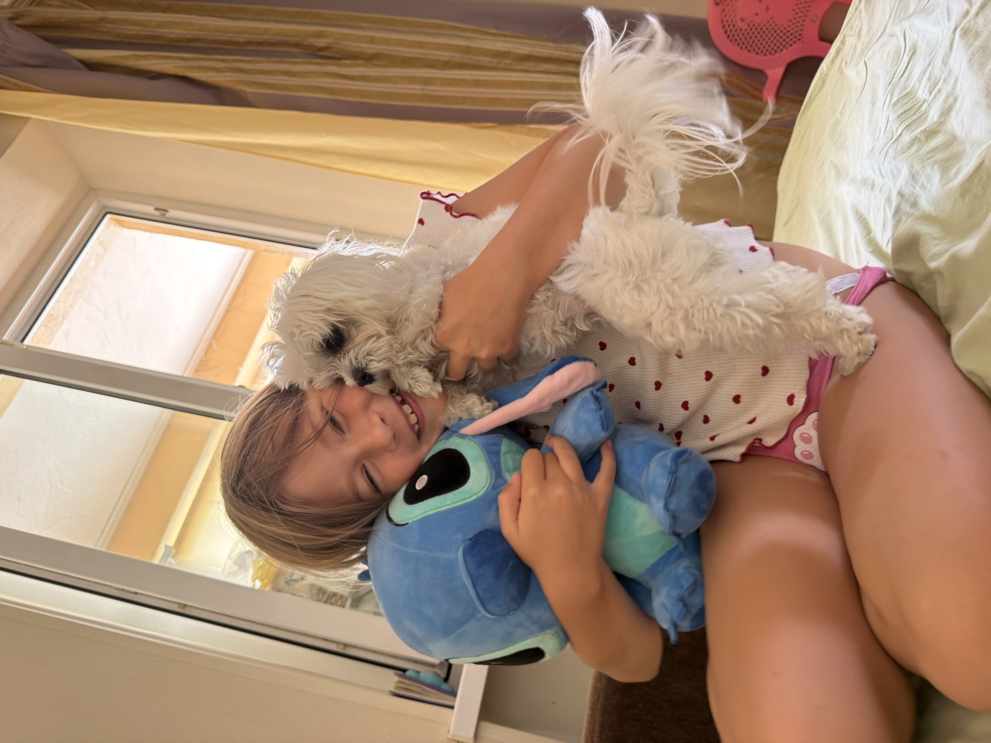 Slow Crimean morning: fluffy dog, plush toys, and caviar toast