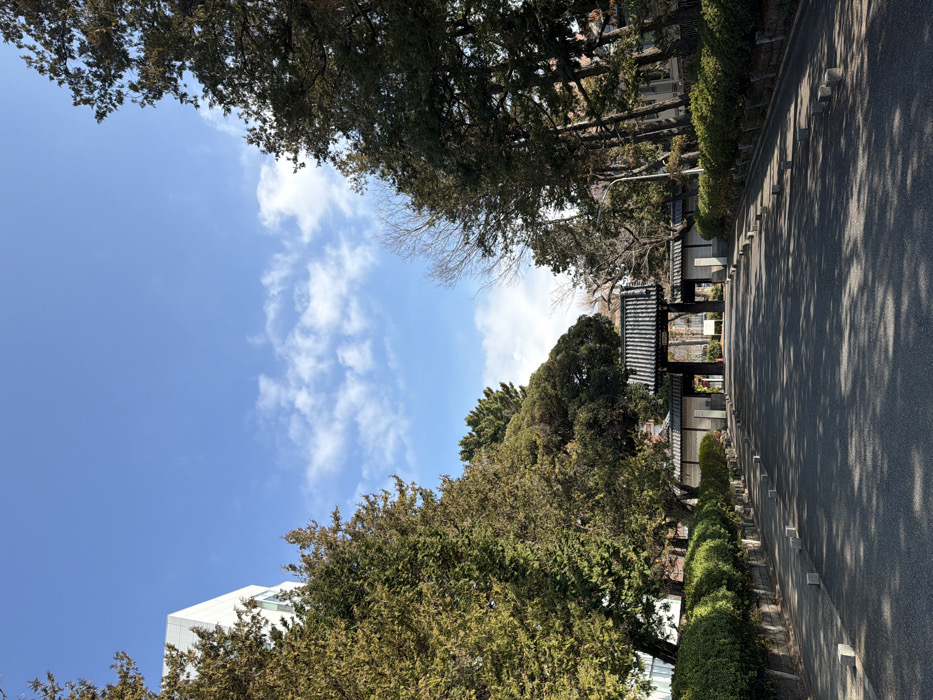 Traditional Japanese structure observed along landscaped Shibuya pathway