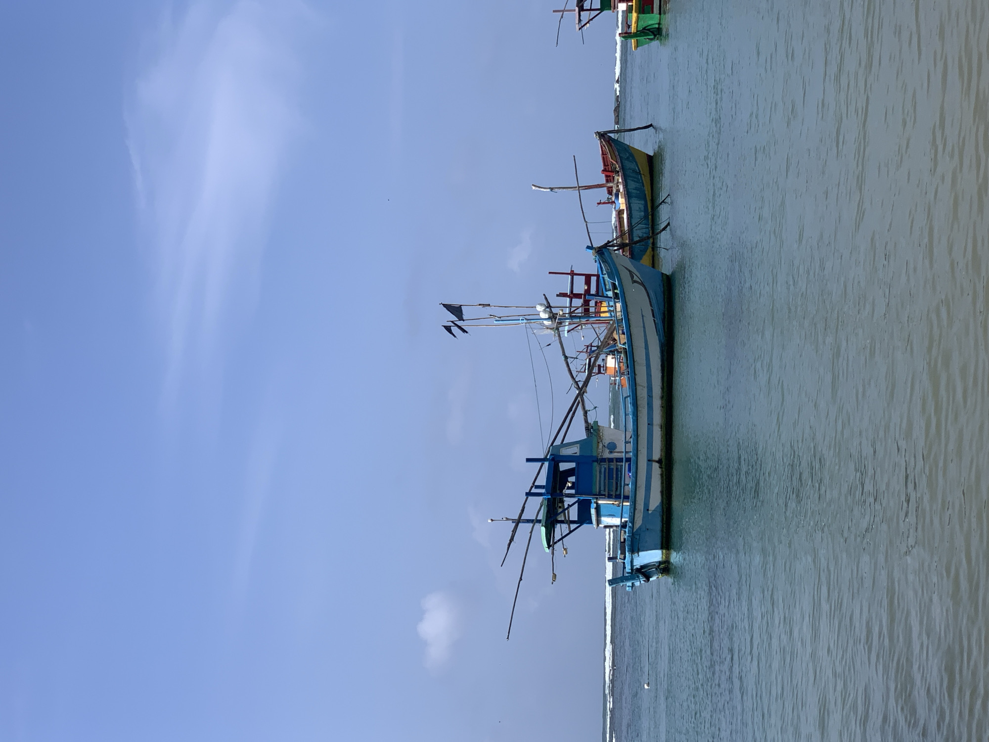 Traditional fishing fleet at rest along Sri Lanka's southern coast