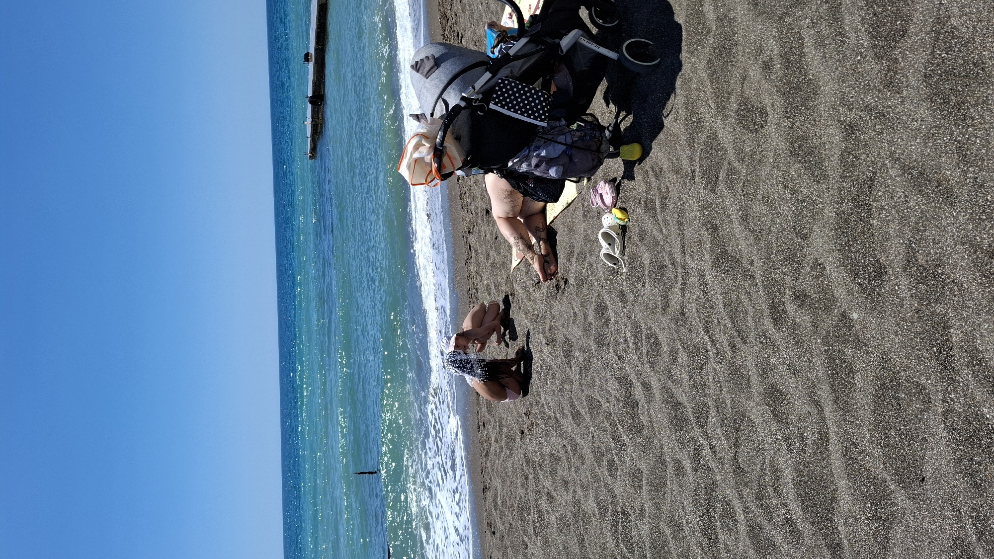 Family with dog enjoys coastal beach trip by bus