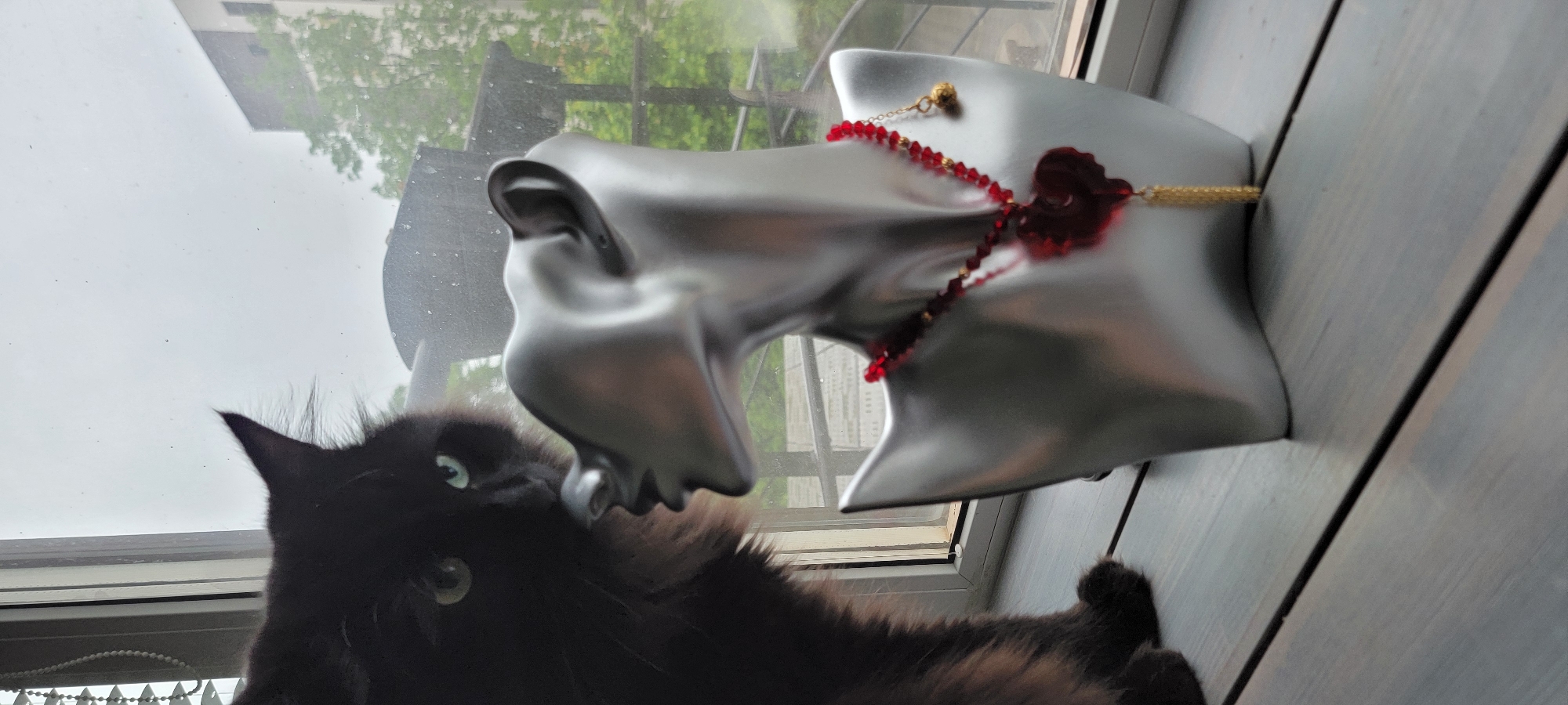 Black cat, patriotic cookies observed in domestic setting