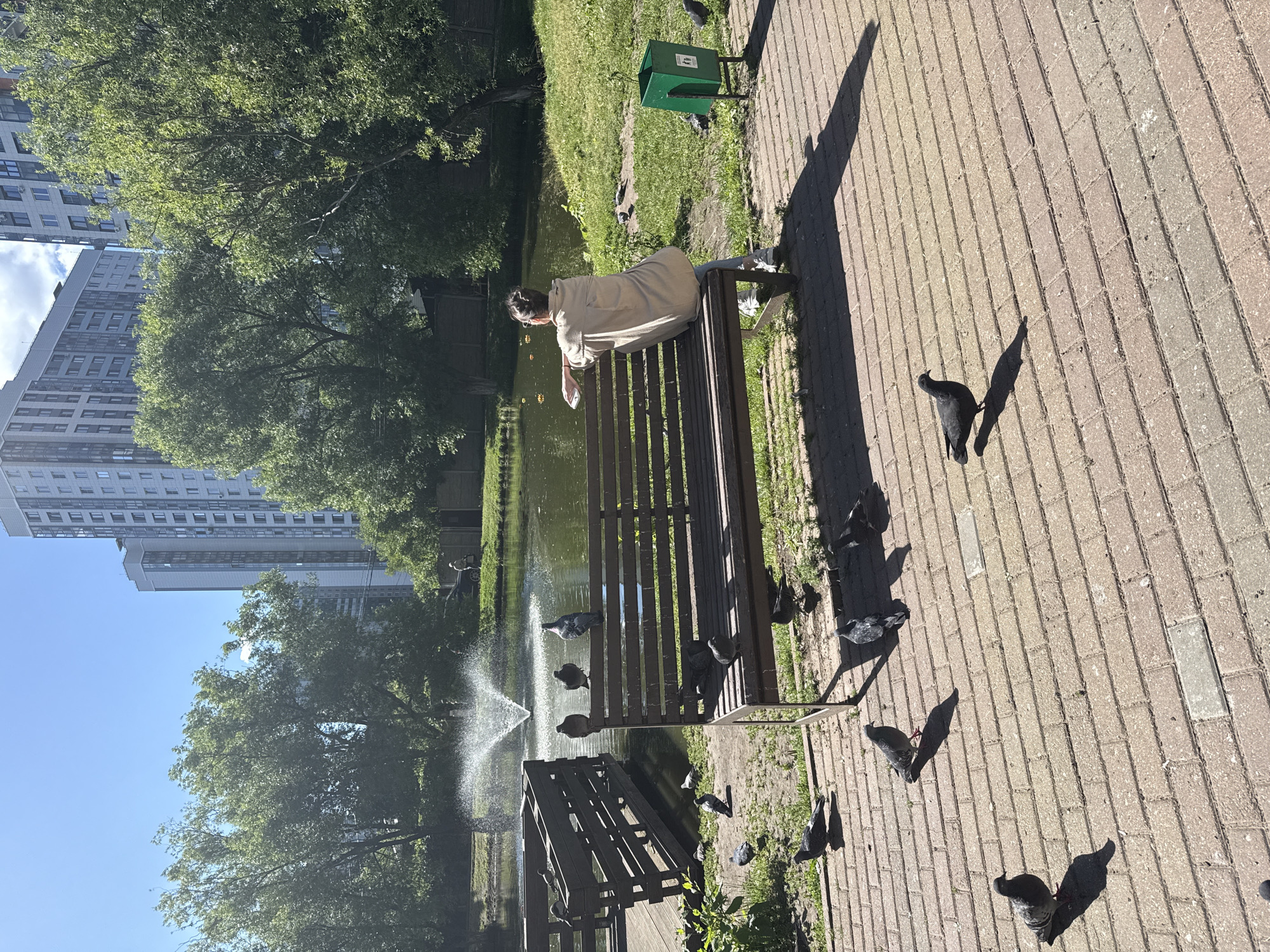 Lazy summer afternoon at a Krasnogorsk park and pond