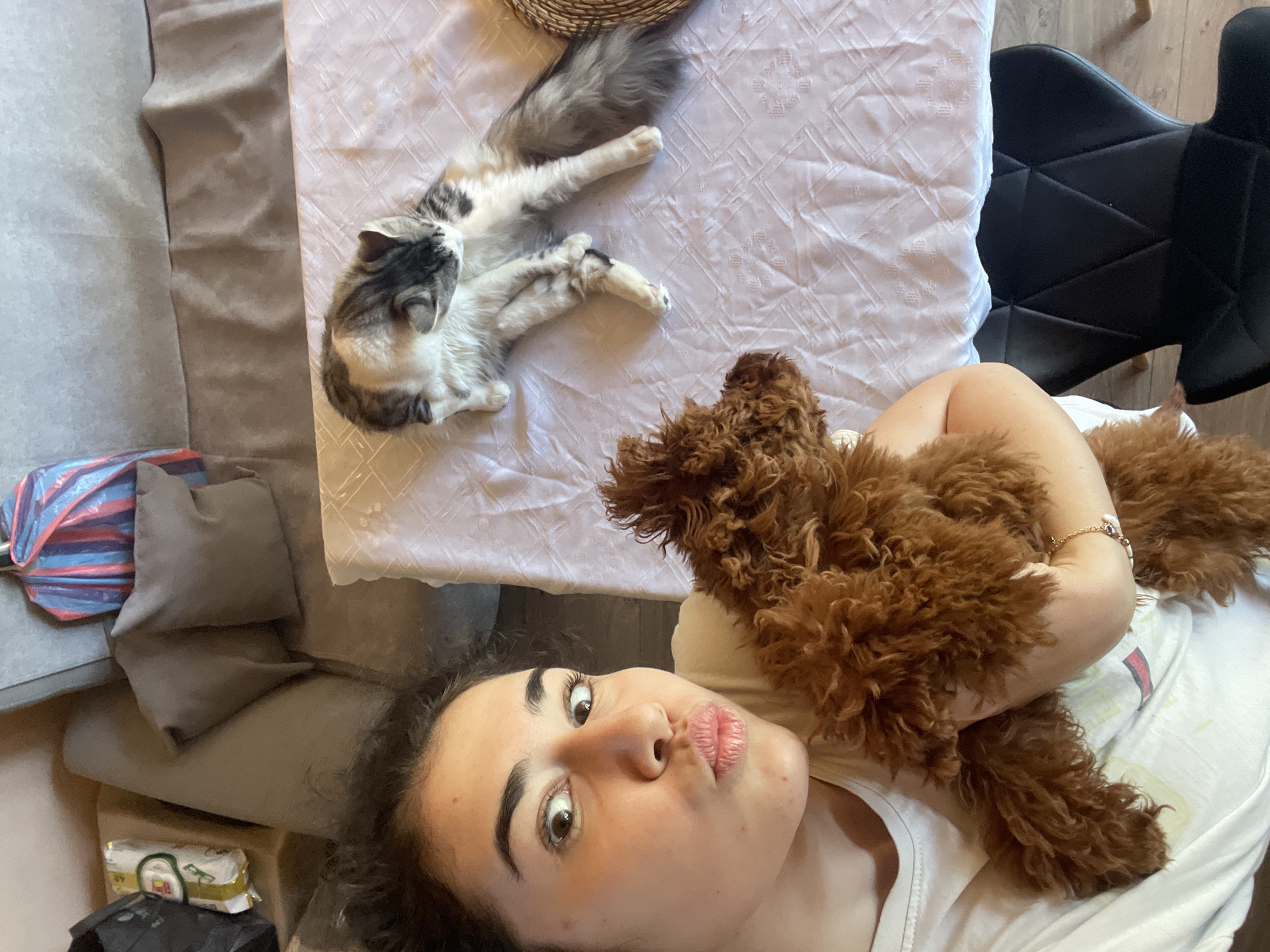 Sofia resident documents morning routine with pets and car wash