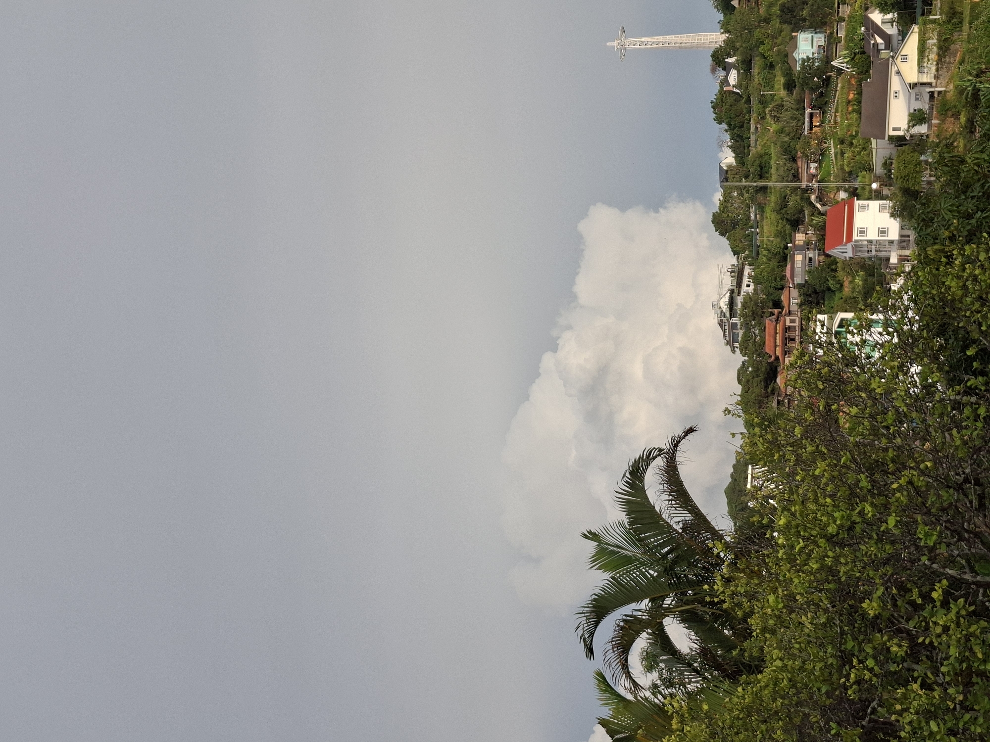 Lakeside park morning with kites, golden architecture, and Vietnamese streetlife