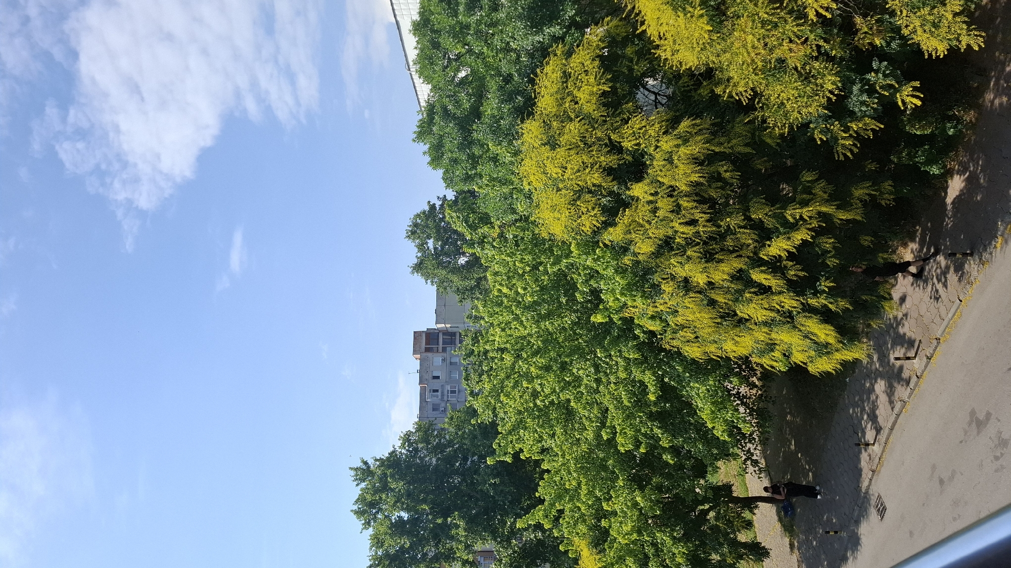 Plovdiv residential streets on a bright summer morning