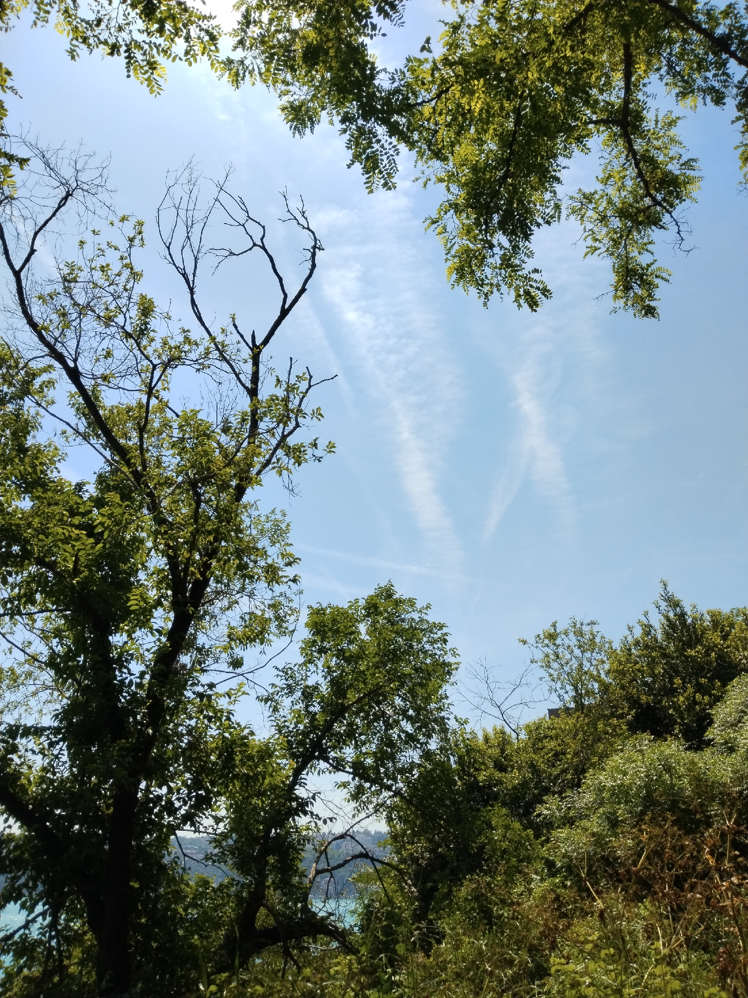 Sunny morning scenes captured in Sarıyer's natural landscapes