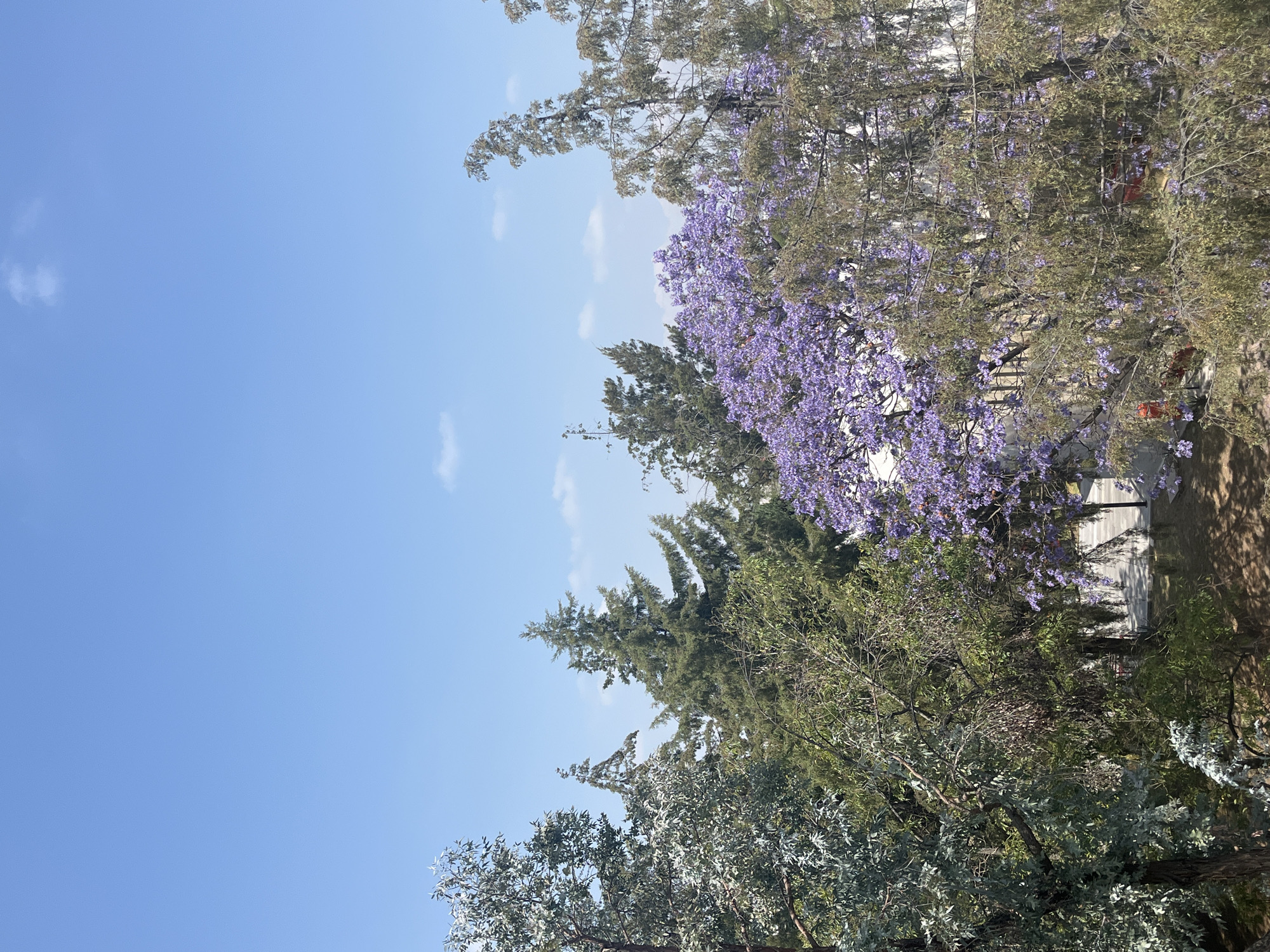 Clear afternoon skies and urban development observed in Puebla