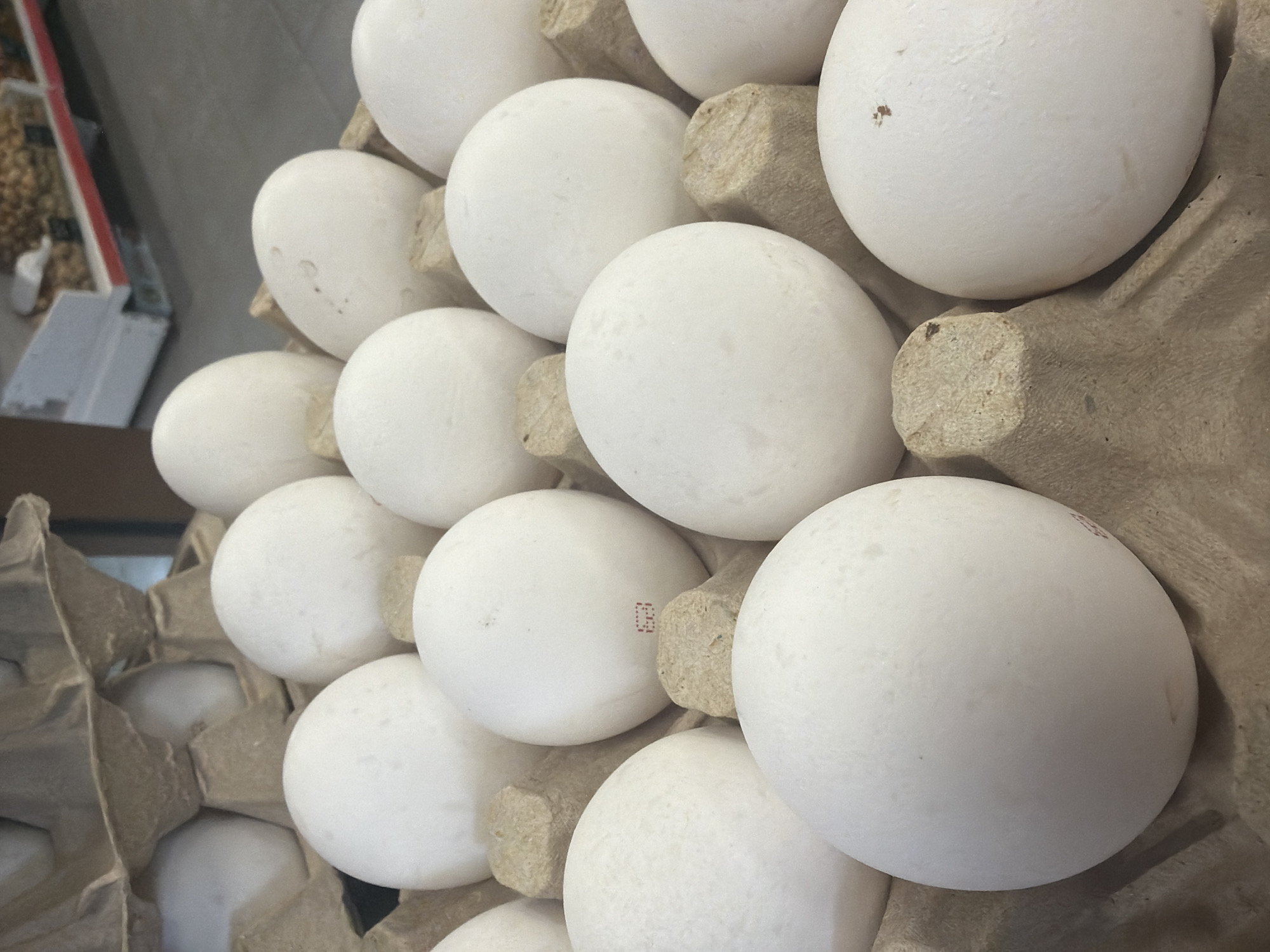 White eggs in cardboard carton photographed in Krasnoyarsk