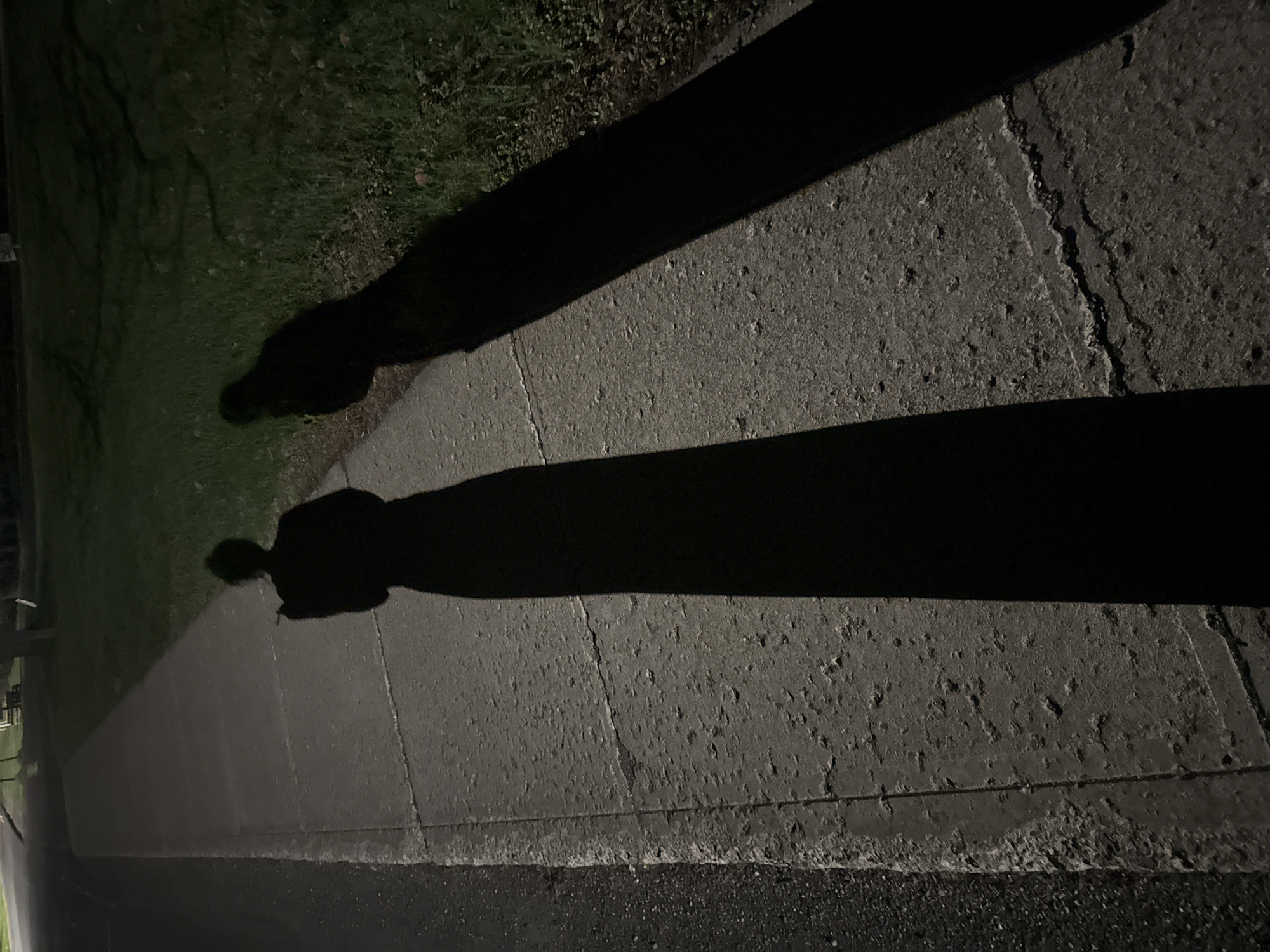 Late-night cigarette moment captured on Red Hook sidewalk