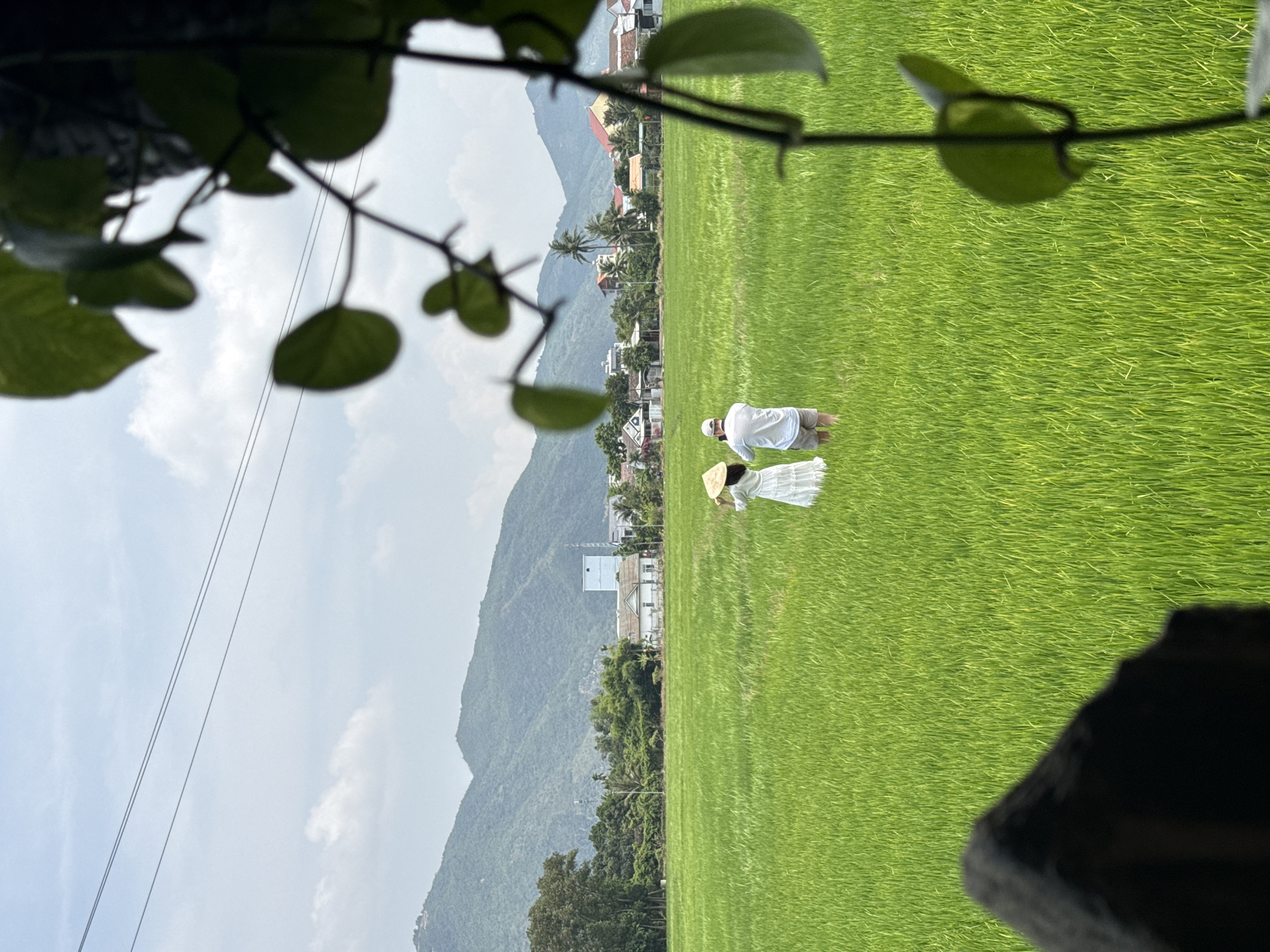 Morning leisure activities documented in Diên Khánh rice paddies