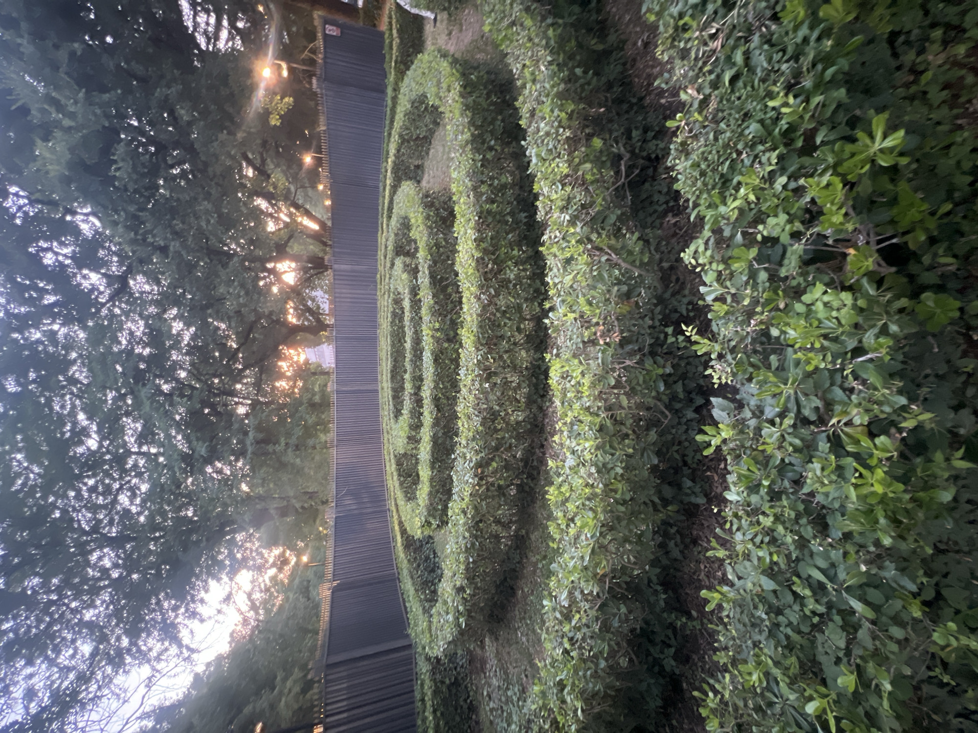 Evening scenes documented in Podgorica: hedge maze and portrait