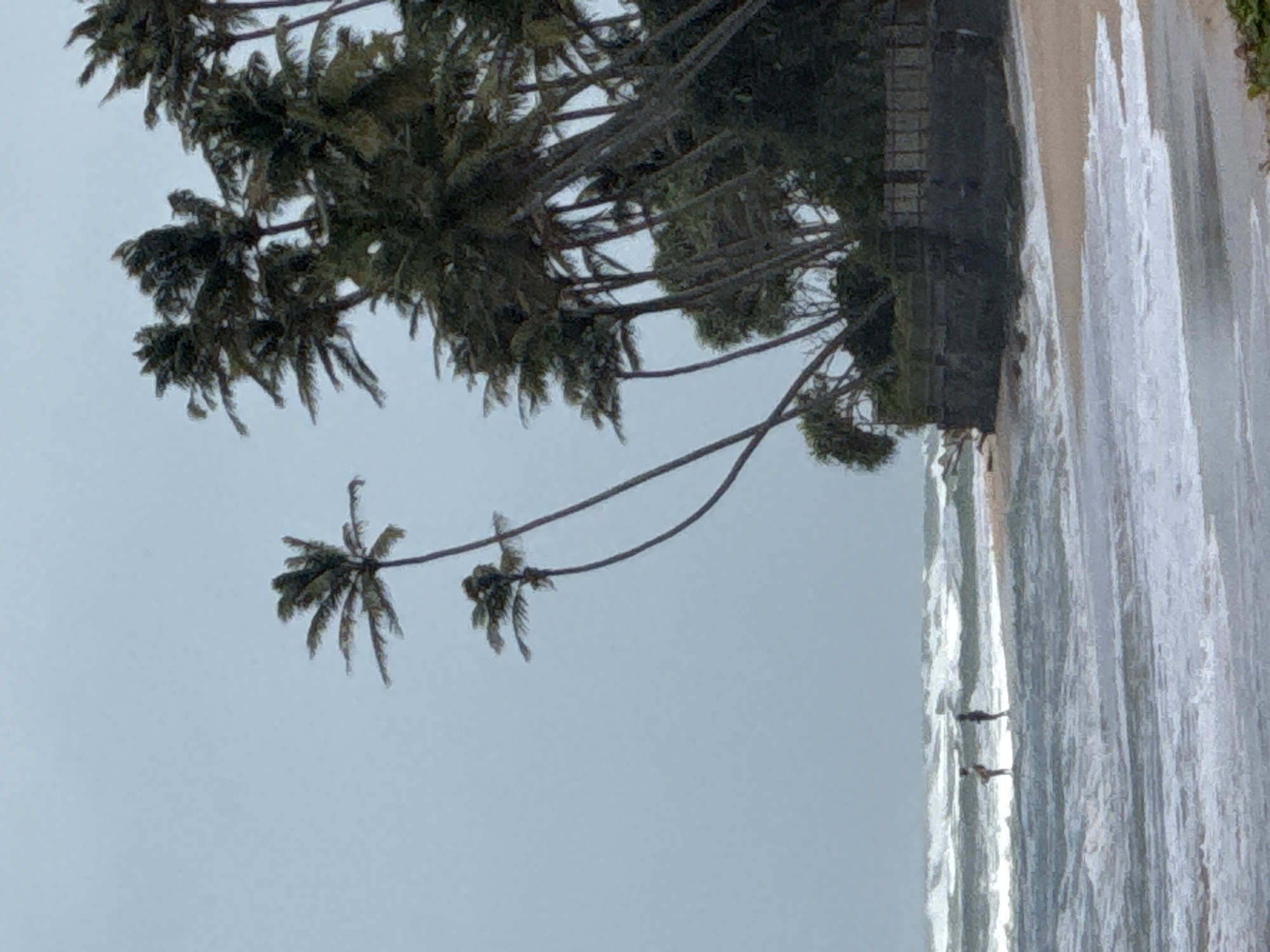 Habaraduwa beach on a cloudy morning, waves and palm trees