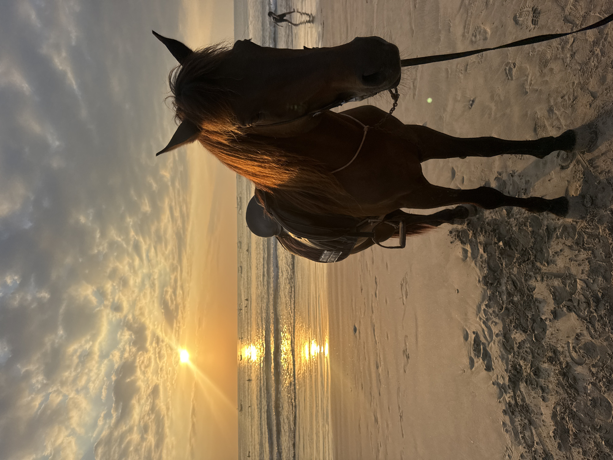 Sunset beach activities unfold at Kuta Selatan with horses